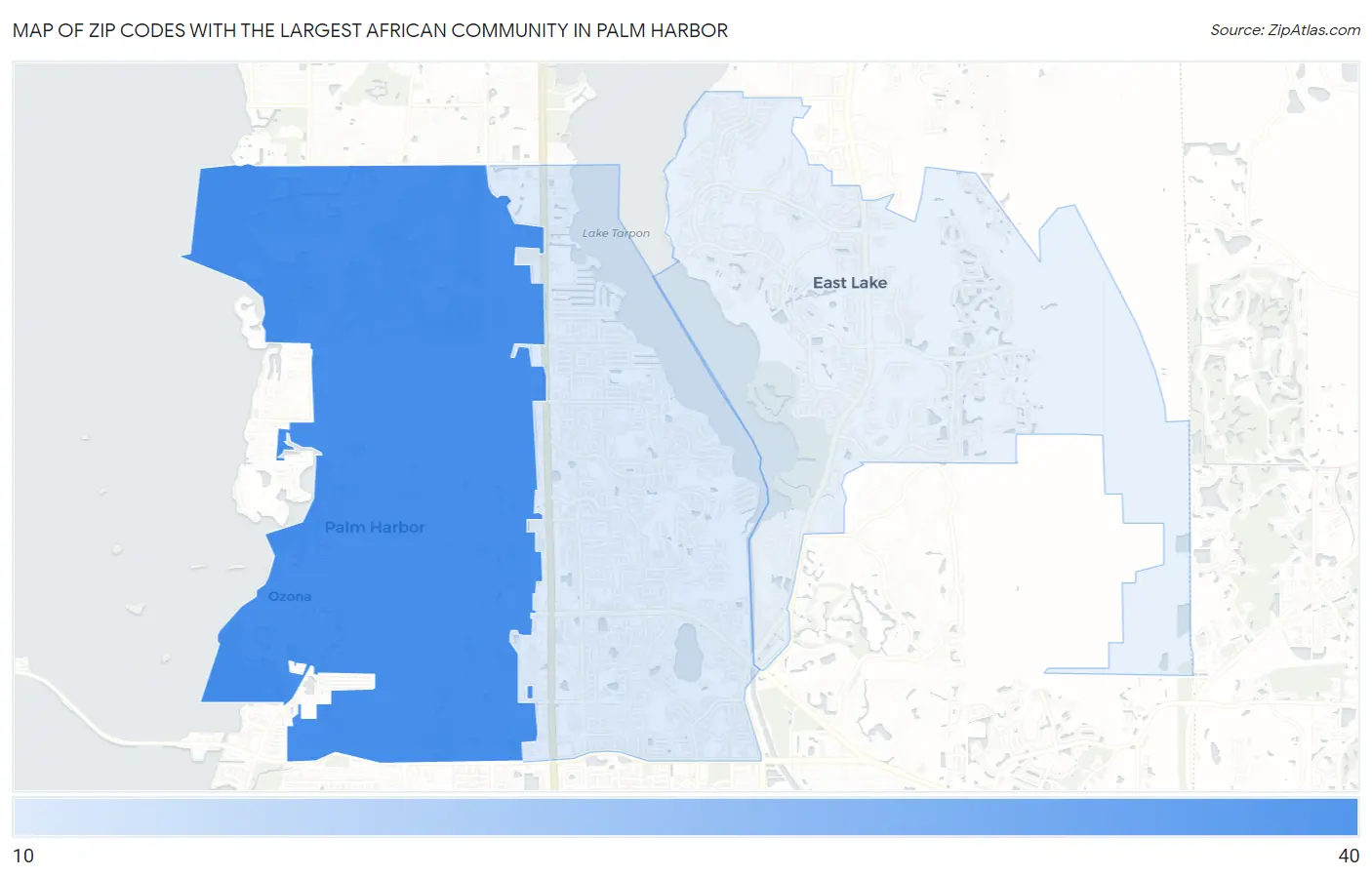 Zip Codes with the Largest African Community in Palm Harbor Map