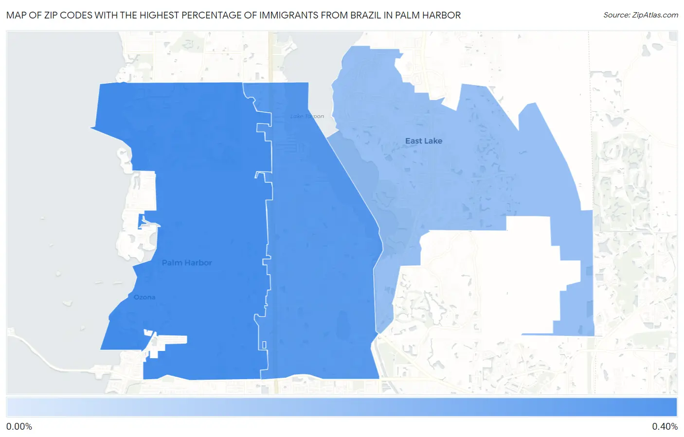 Zip Codes with the Highest Percentage of Immigrants from Brazil in Palm Harbor Map