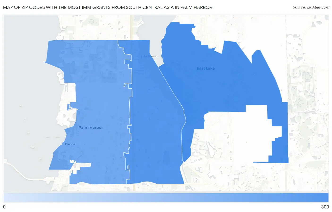 Zip Codes with the Most Immigrants from South Central Asia in Palm Harbor Map