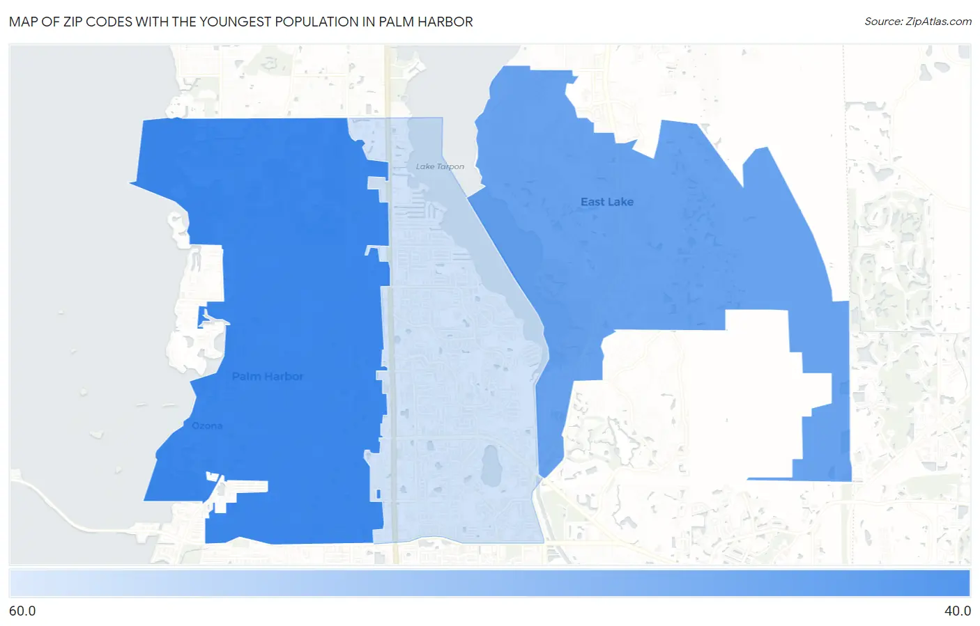Zip Codes with the Youngest Population in Palm Harbor Map