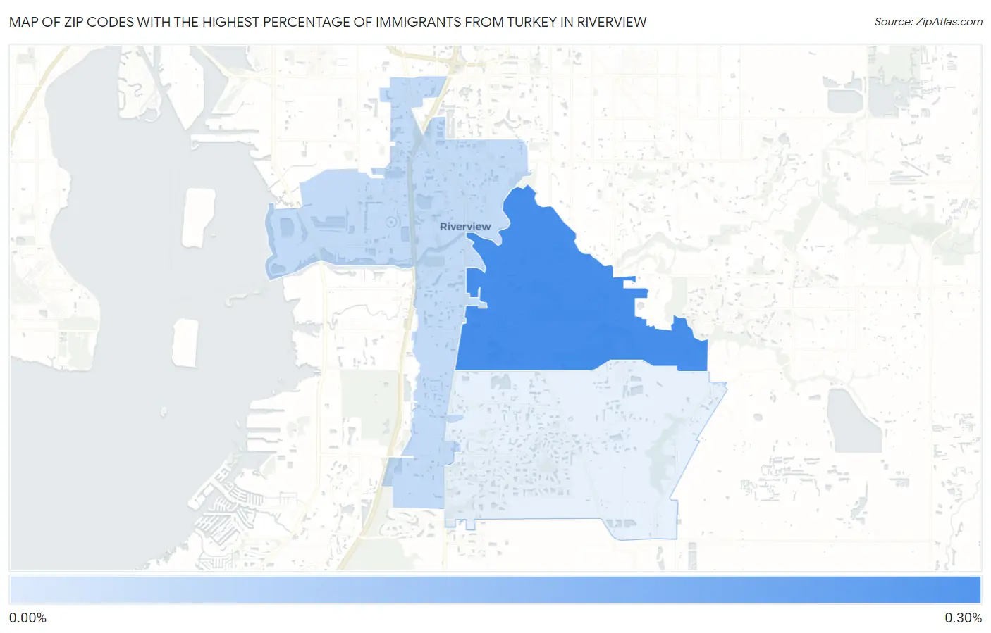 Zip Codes with the Highest Percentage of Immigrants from Turkey in Riverview Map