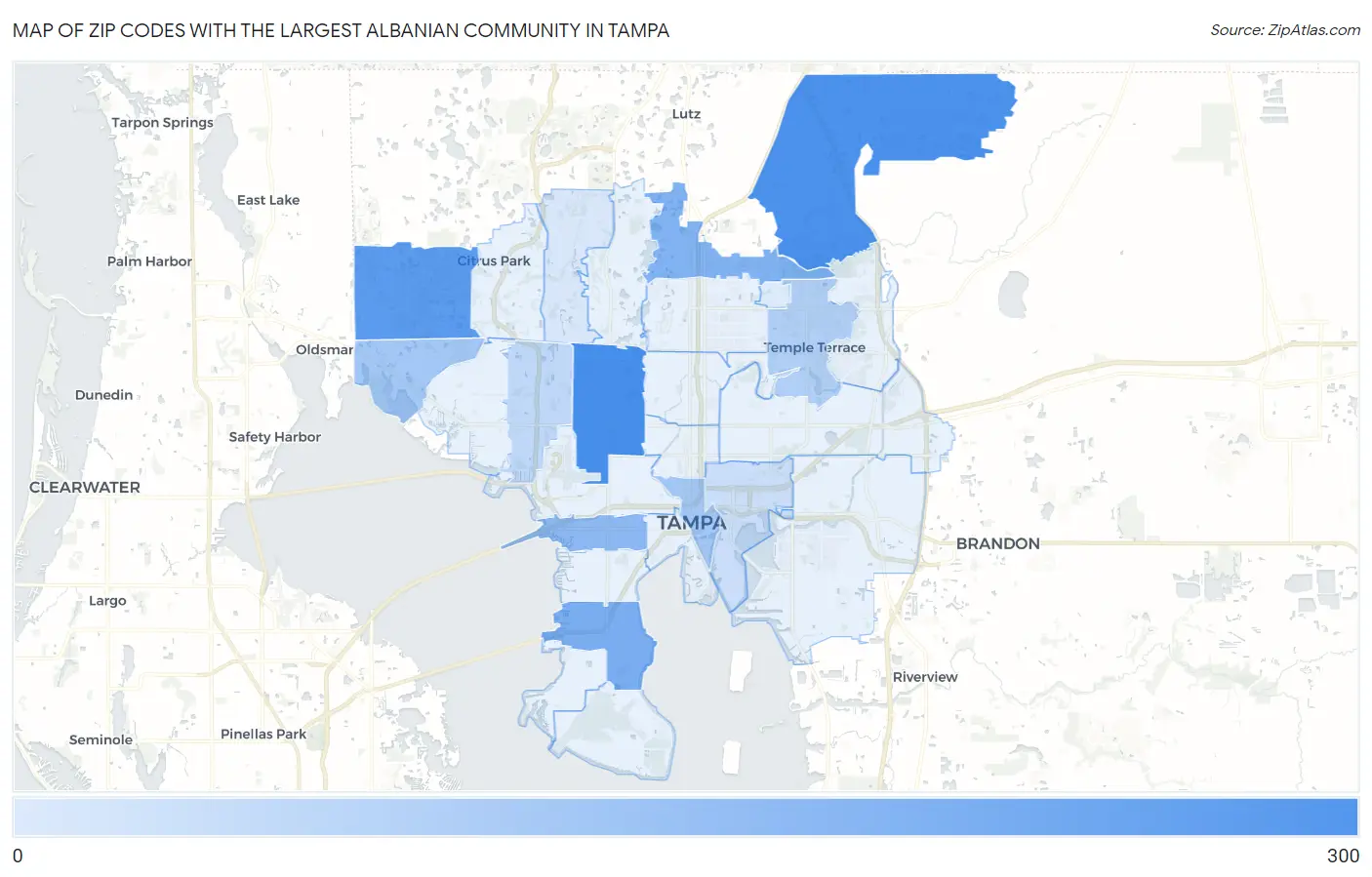 Zip Codes with the Largest Albanian Community in Tampa Map