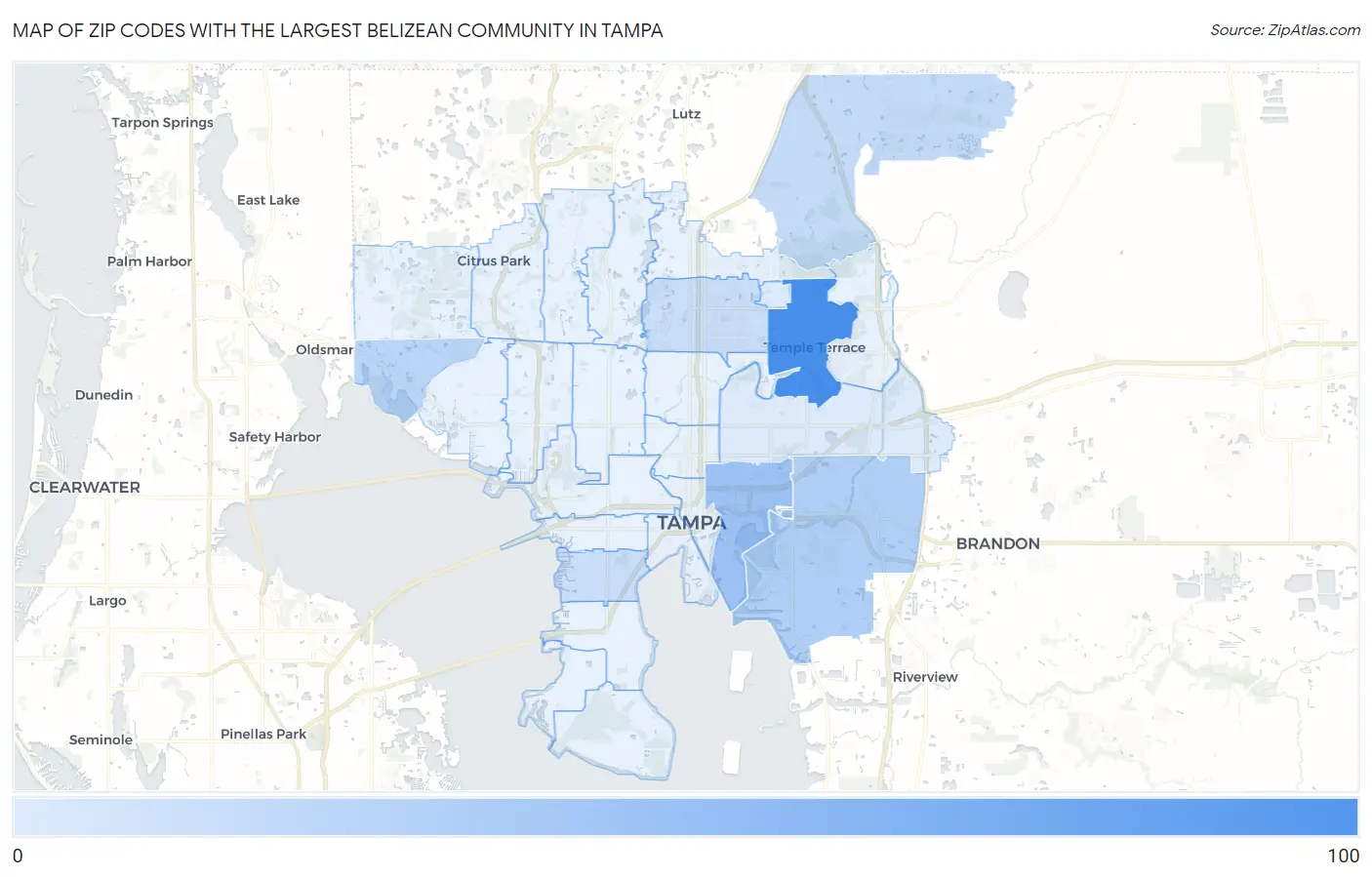 Zip Codes with the Largest Belizean Community in Tampa Map