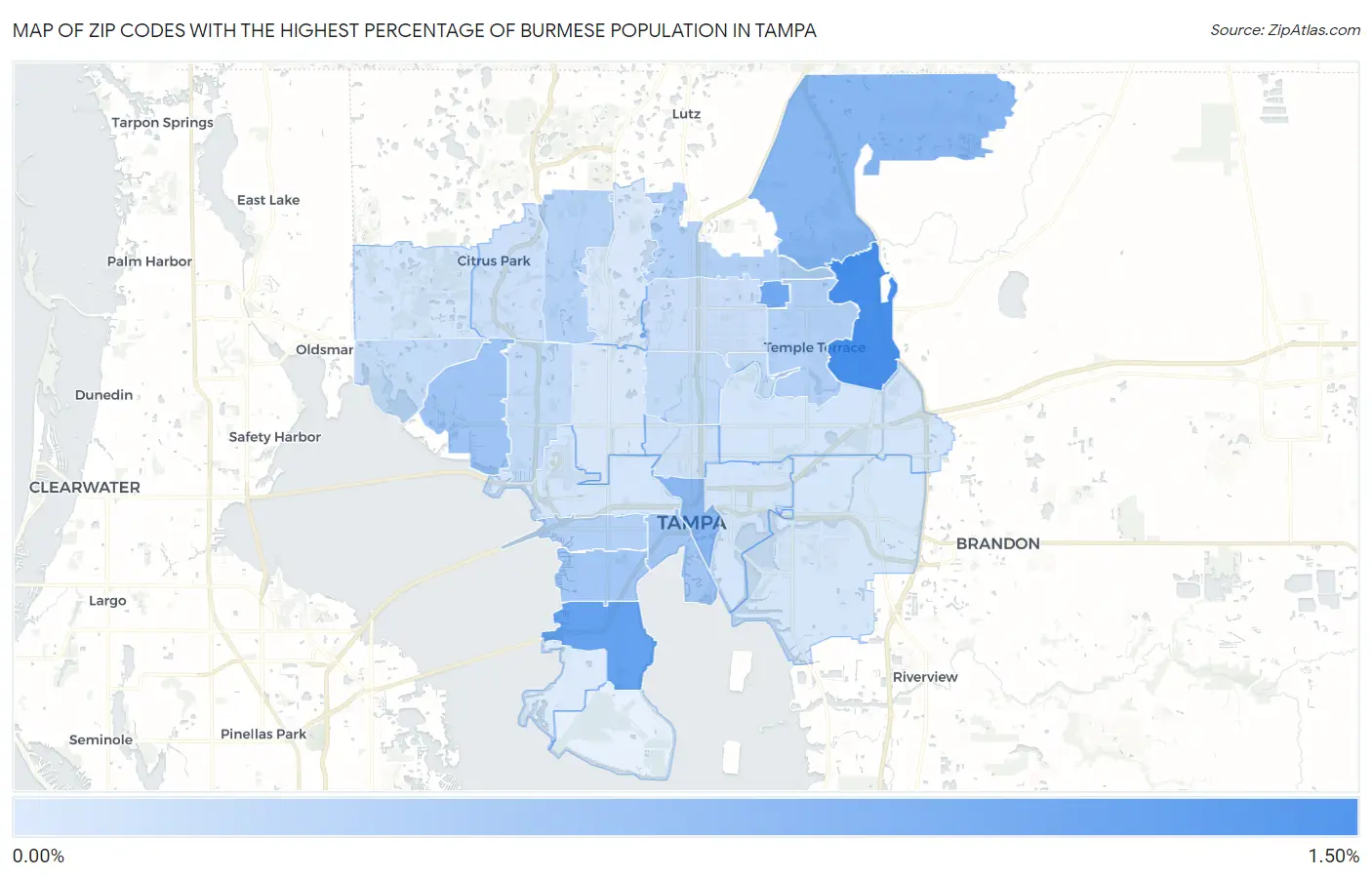 Zip Codes with the Highest Percentage of Burmese Population in Tampa Map