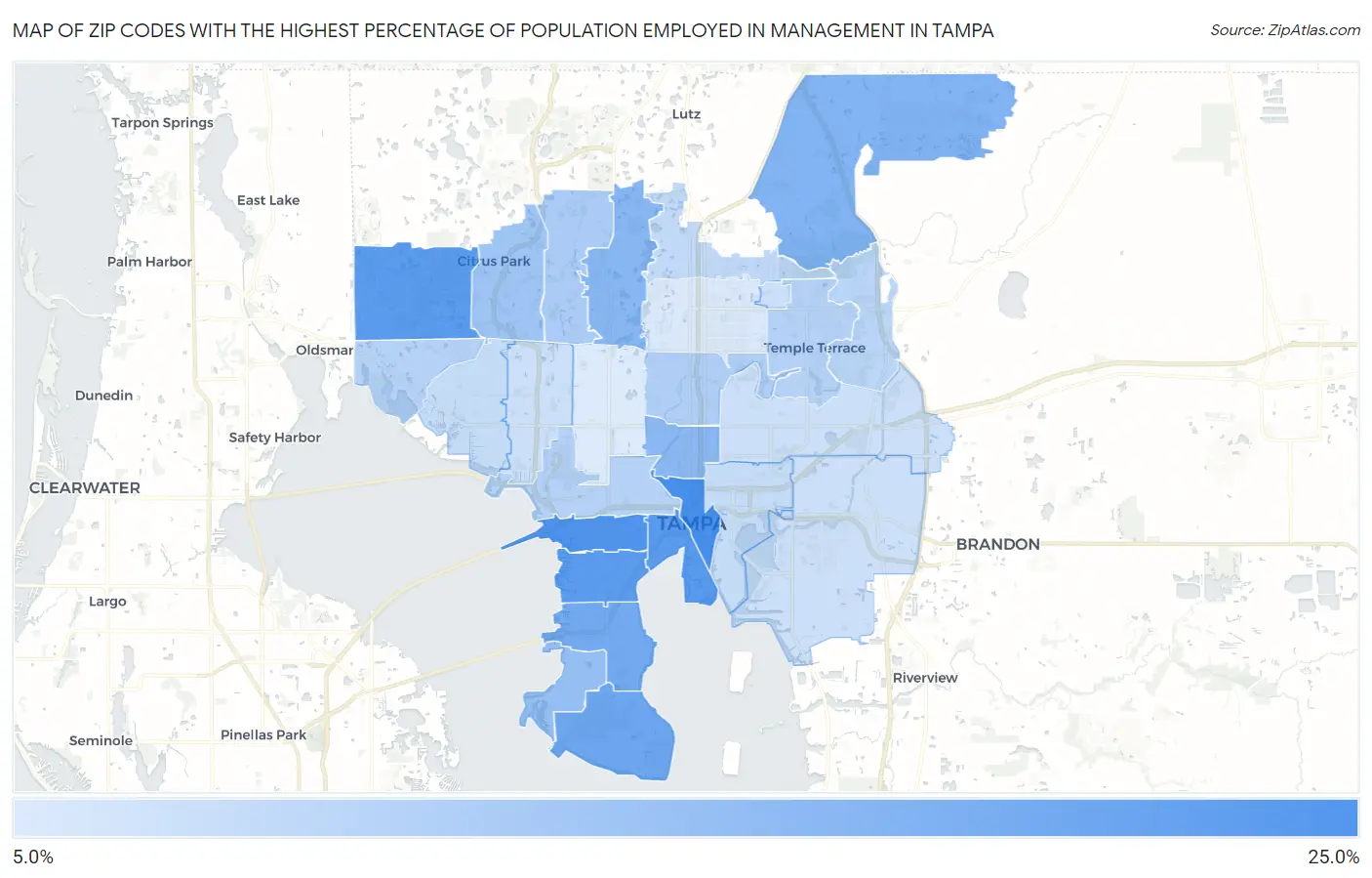 Zip Codes with the Highest Percentage of Population Employed in Management in Tampa Map