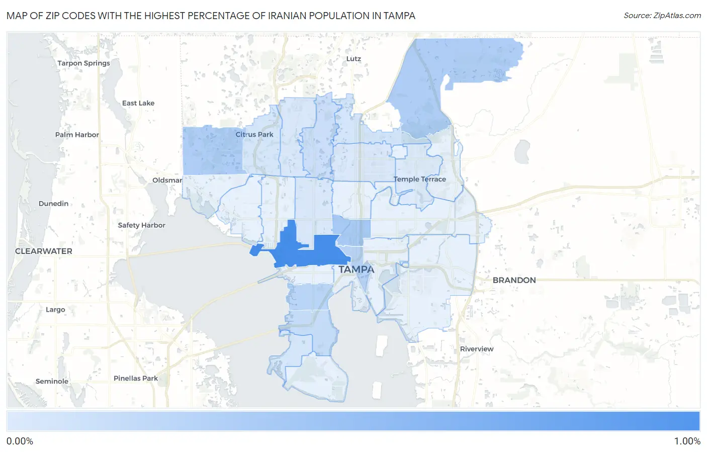 Zip Codes with the Highest Percentage of Iranian Population in Tampa Map
