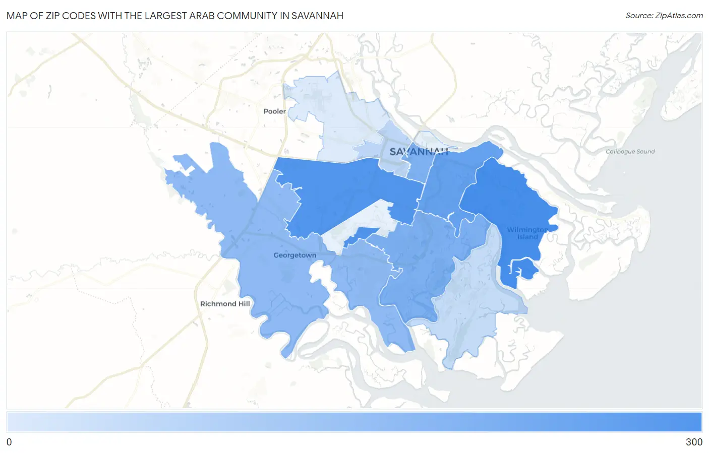 Zip Codes with the Largest Arab Community in Savannah Map