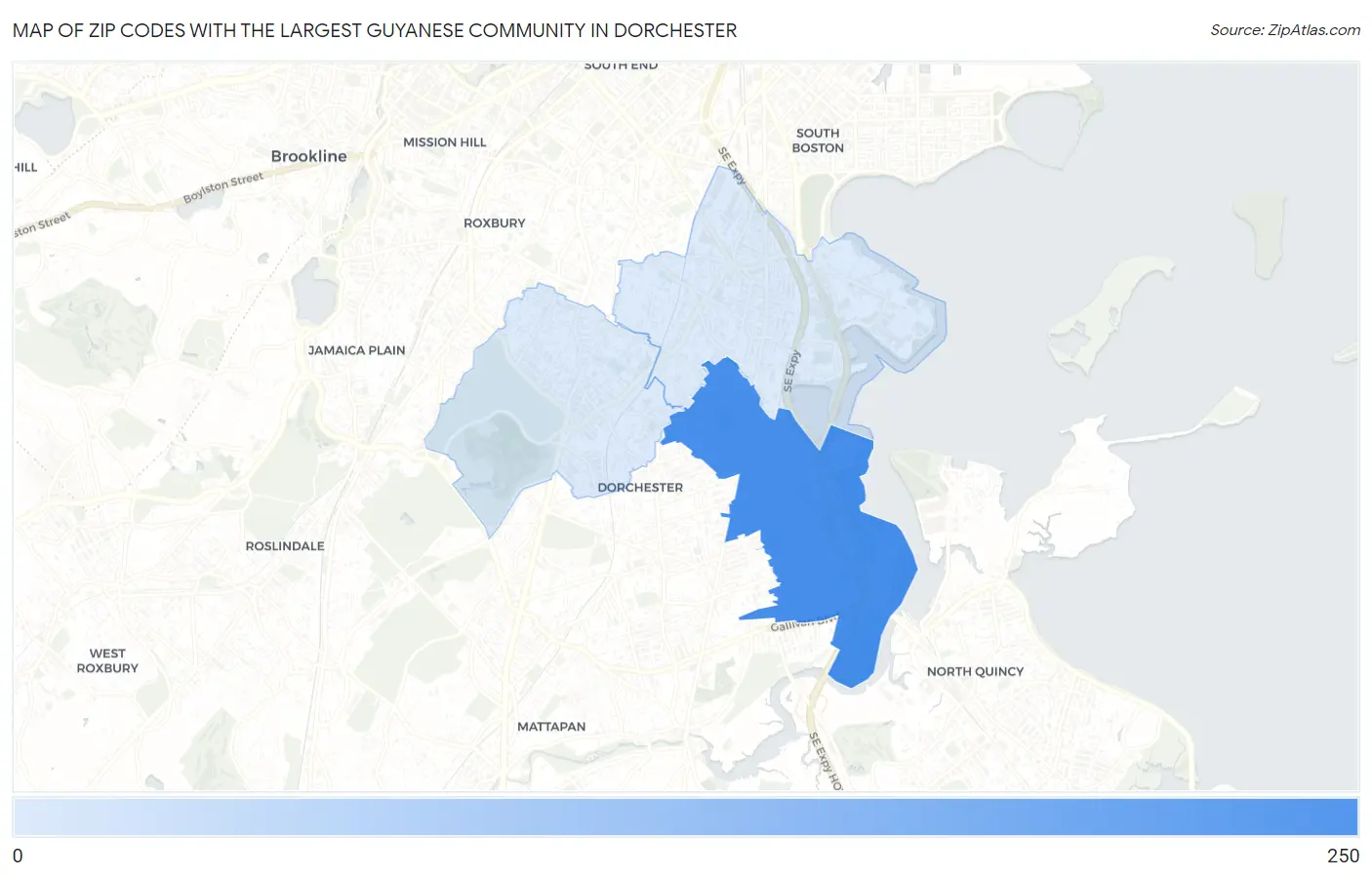 Zip Codes with the Largest Guyanese Community in Dorchester Map