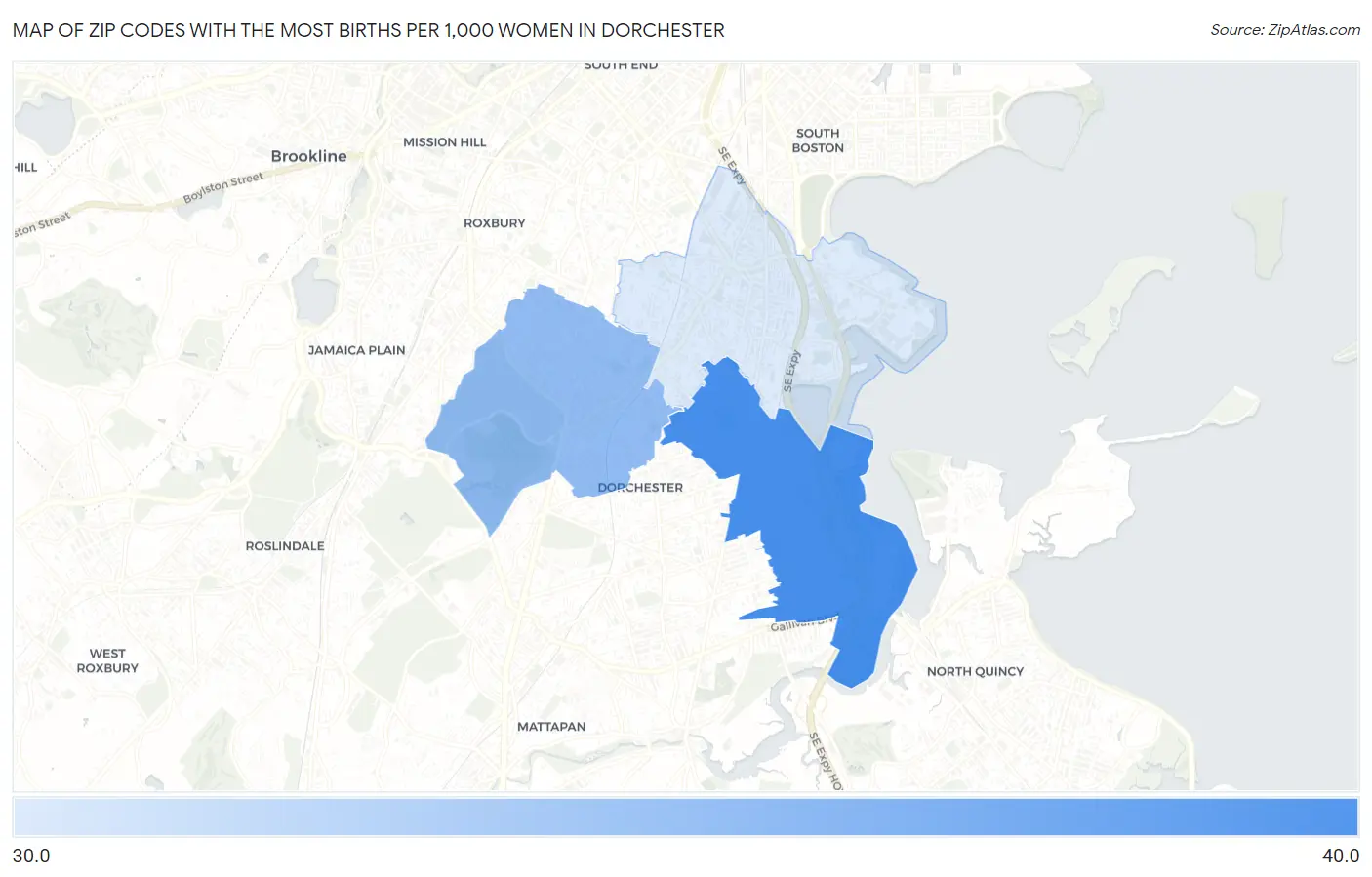 Zip Codes with the Most Births per 1,000 Women in Dorchester Map