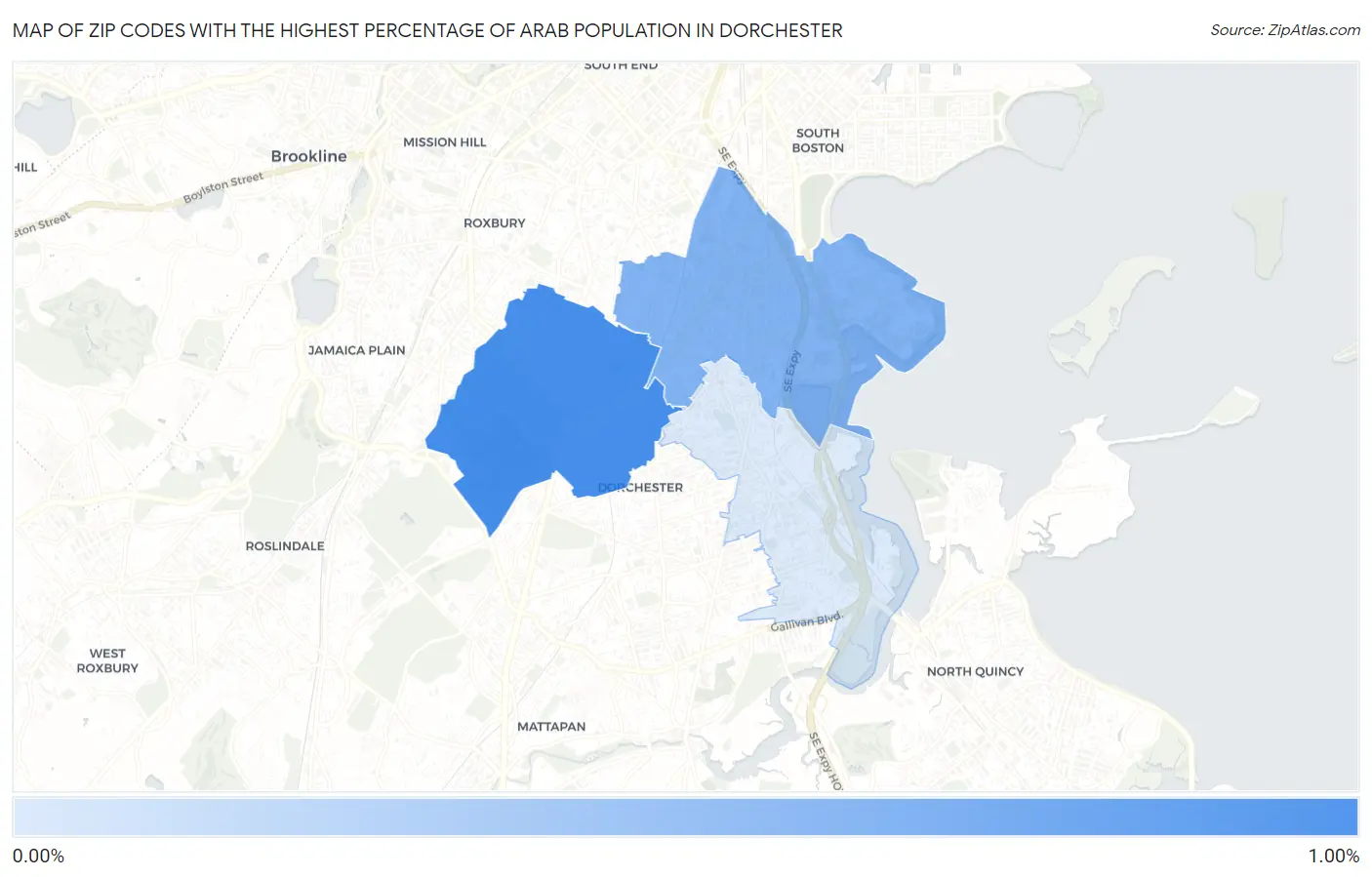 Zip Codes with the Highest Percentage of Arab Population in Dorchester Map