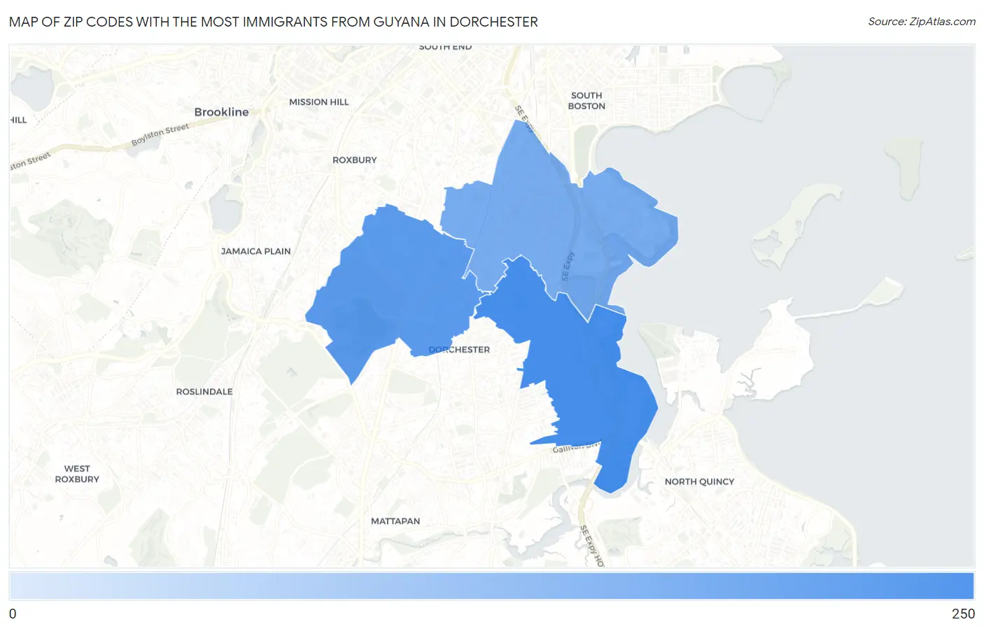 Zip Codes with the Most Immigrants from Guyana in Dorchester Map