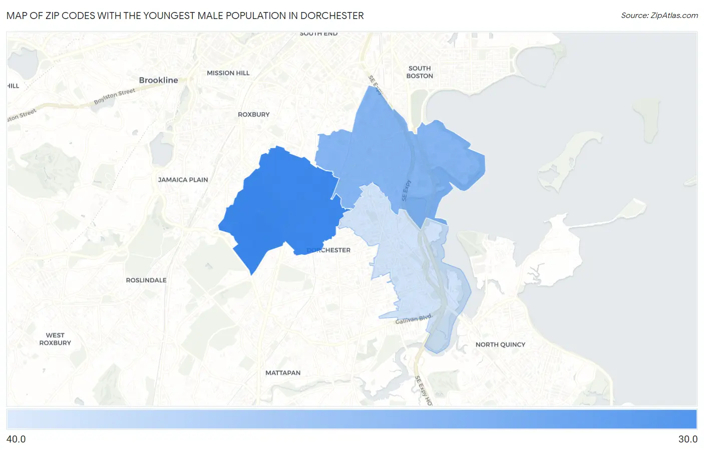 Zip Codes with the Youngest Male Population in Dorchester Map