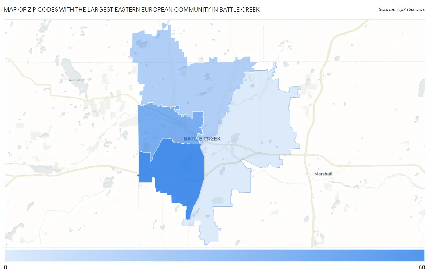 Zip Codes with the Largest Eastern European Community in Battle Creek Map