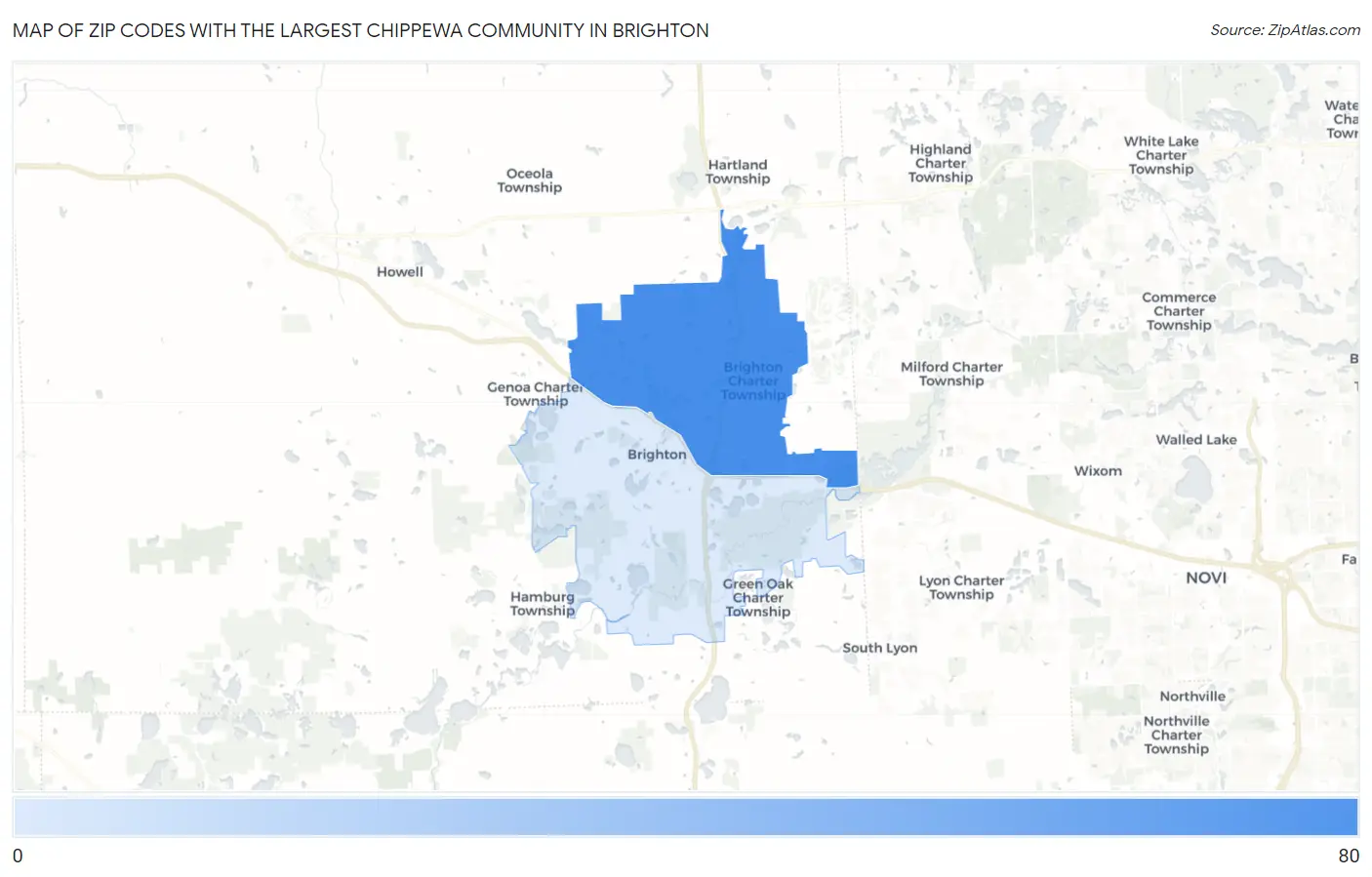 Zip Codes with the Largest Chippewa Community in Brighton Map