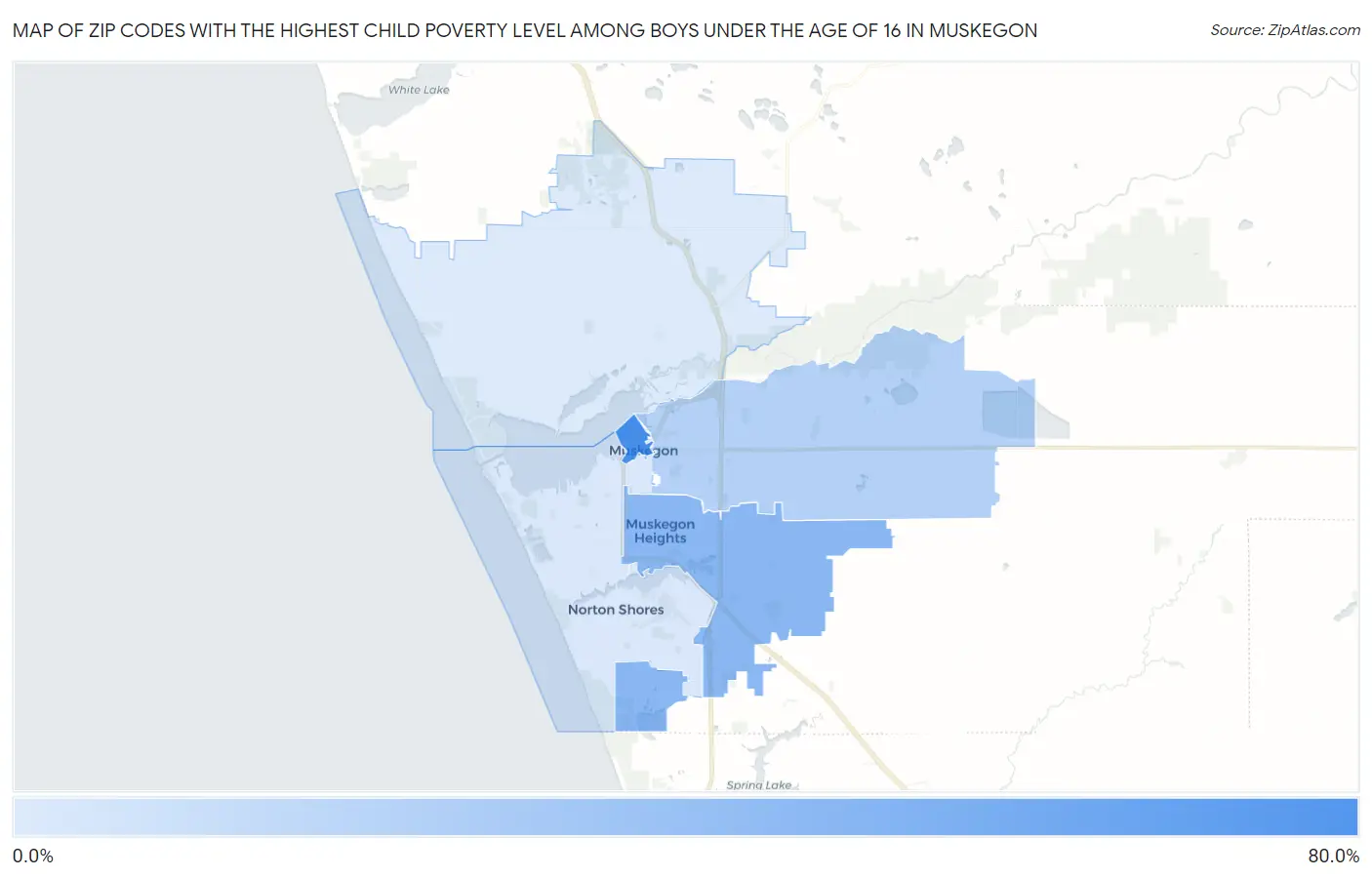 Zip Codes with the Highest Child Poverty Level Among Boys Under the Age of 16 in Muskegon Map