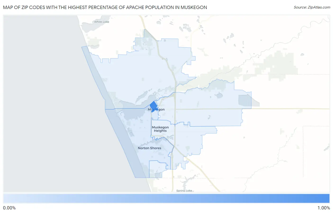 Zip Codes with the Highest Percentage of Apache Population in Muskegon Map