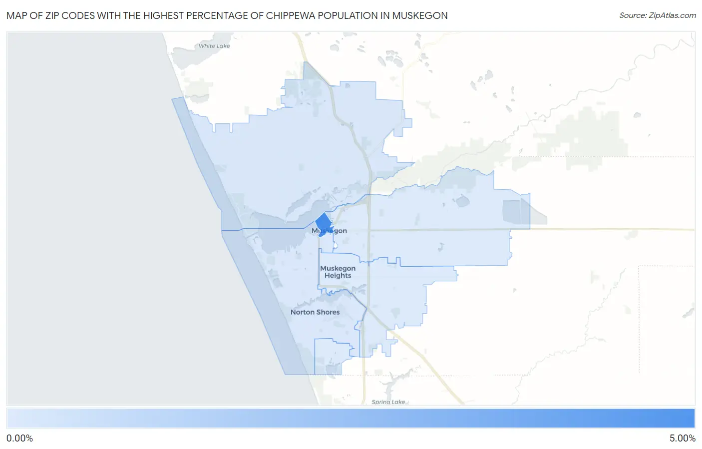 Zip Codes with the Highest Percentage of Chippewa Population in Muskegon Map