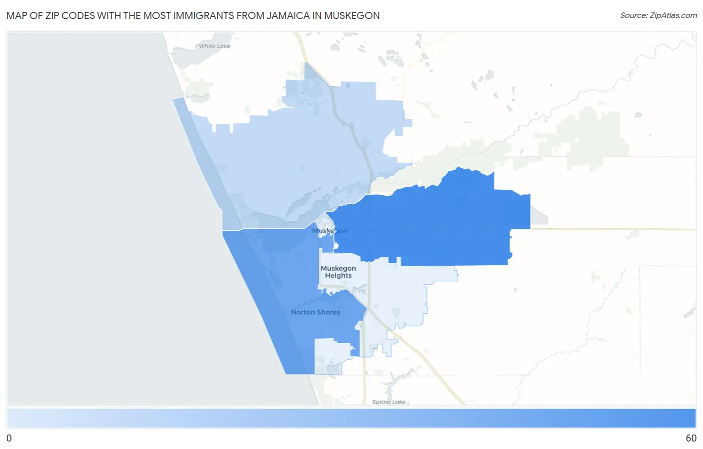 Zip Codes with the Most Immigrants from Jamaica in Muskegon Map