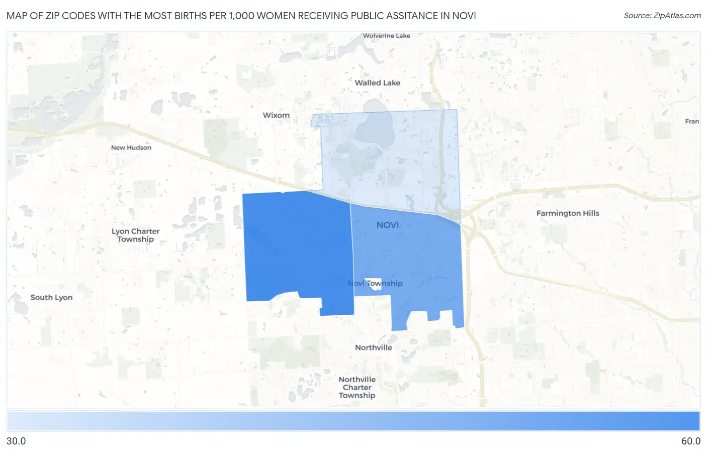 Zip Codes with the Most Births per 1,000 Women Receiving Public Assitance in Novi Map