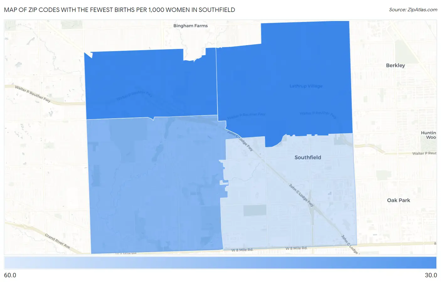 Zip Codes with the Fewest Births per 1,000 Women in Southfield Map