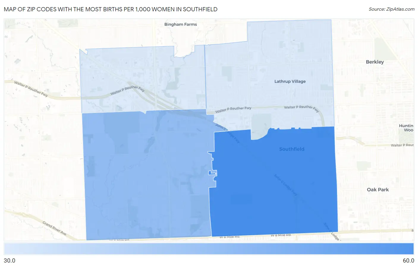 Zip Codes with the Most Births per 1,000 Women in Southfield Map