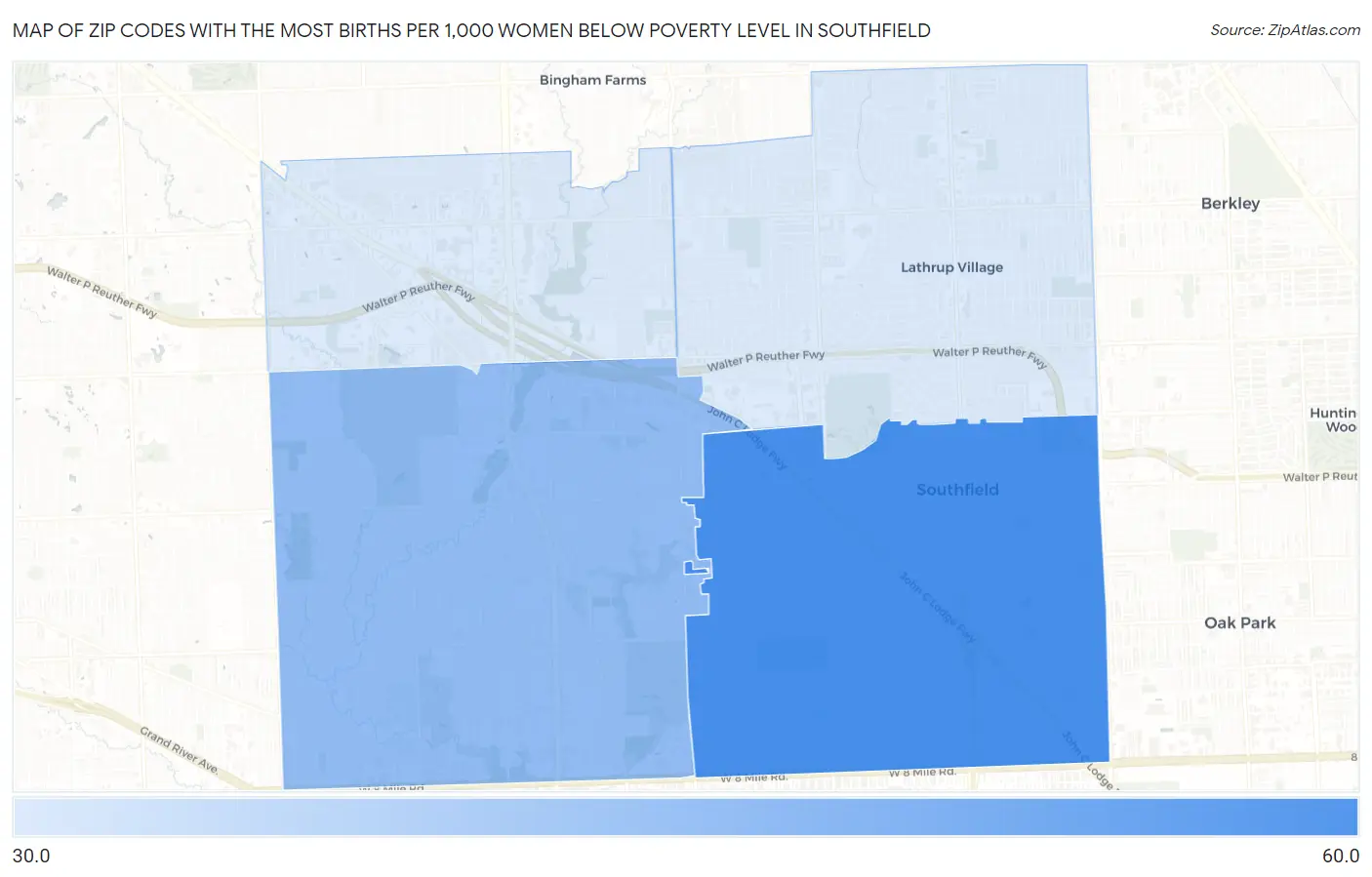 Zip Codes with the Most Births per 1,000 Women Below Poverty Level in Southfield Map