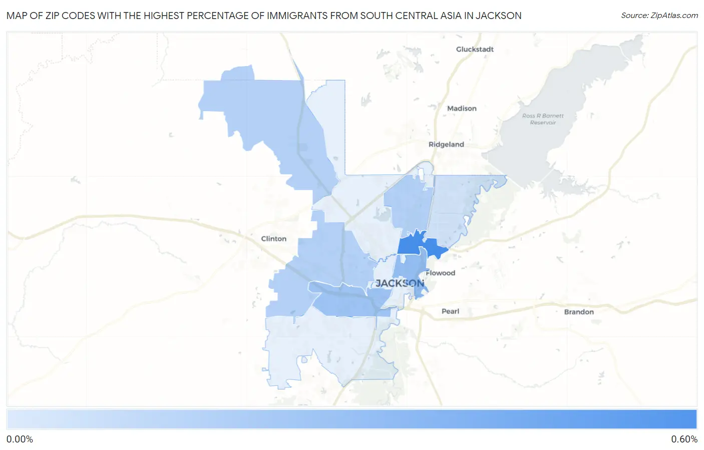 Zip Codes with the Highest Percentage of Immigrants from South Central Asia in Jackson Map