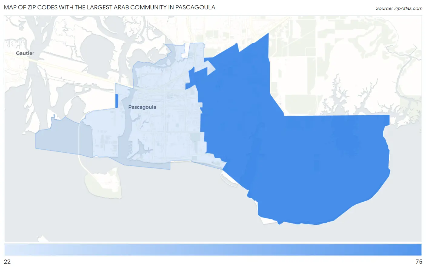 Zip Codes with the Largest Arab Community in Pascagoula Map