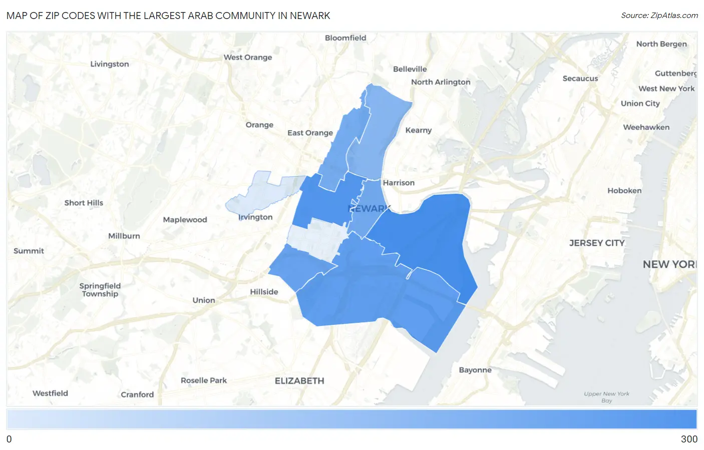 Zip Codes with the Largest Arab Community in Newark Map