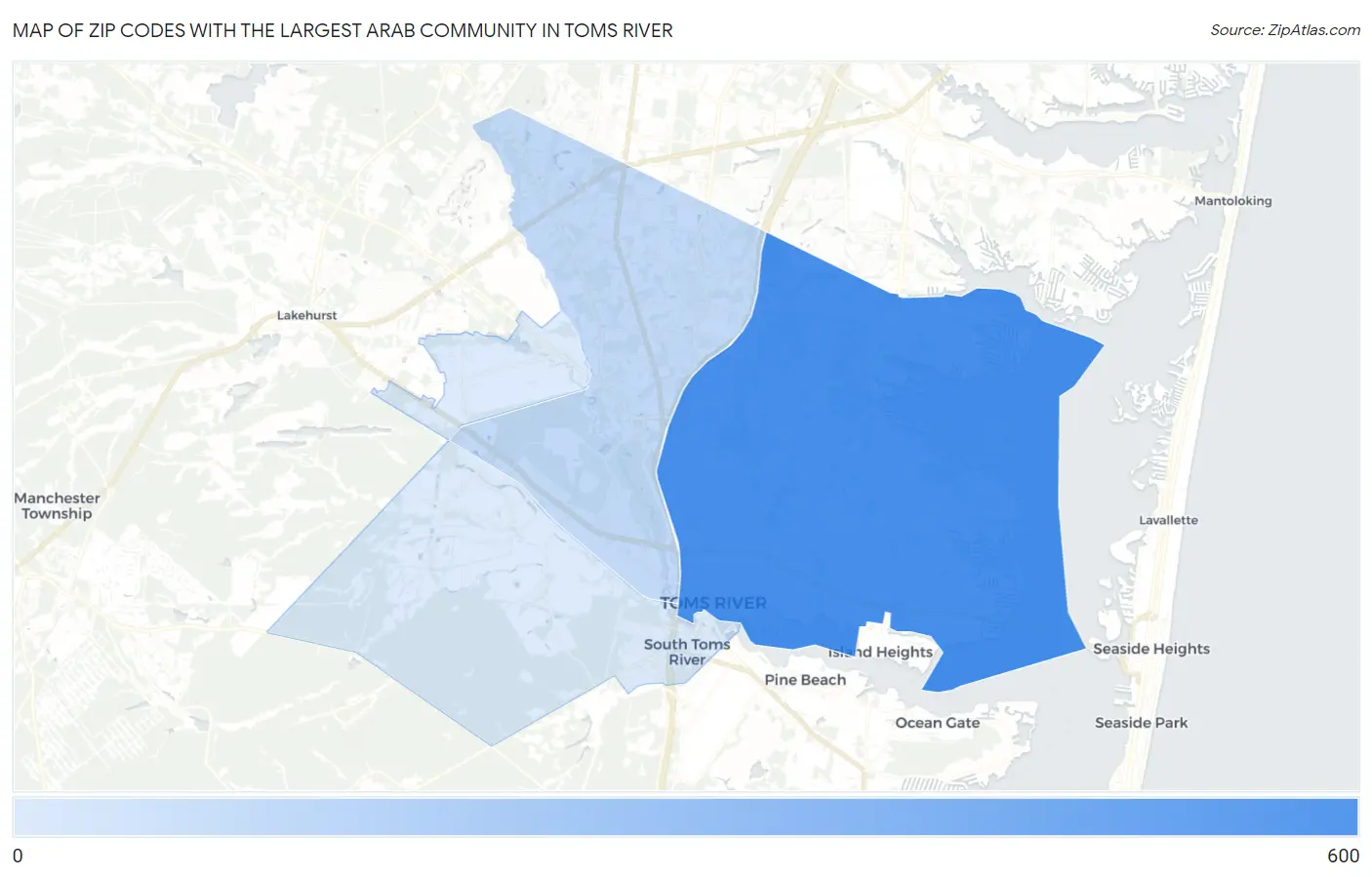 Zip Codes with the Largest Arab Community in Toms River Map
