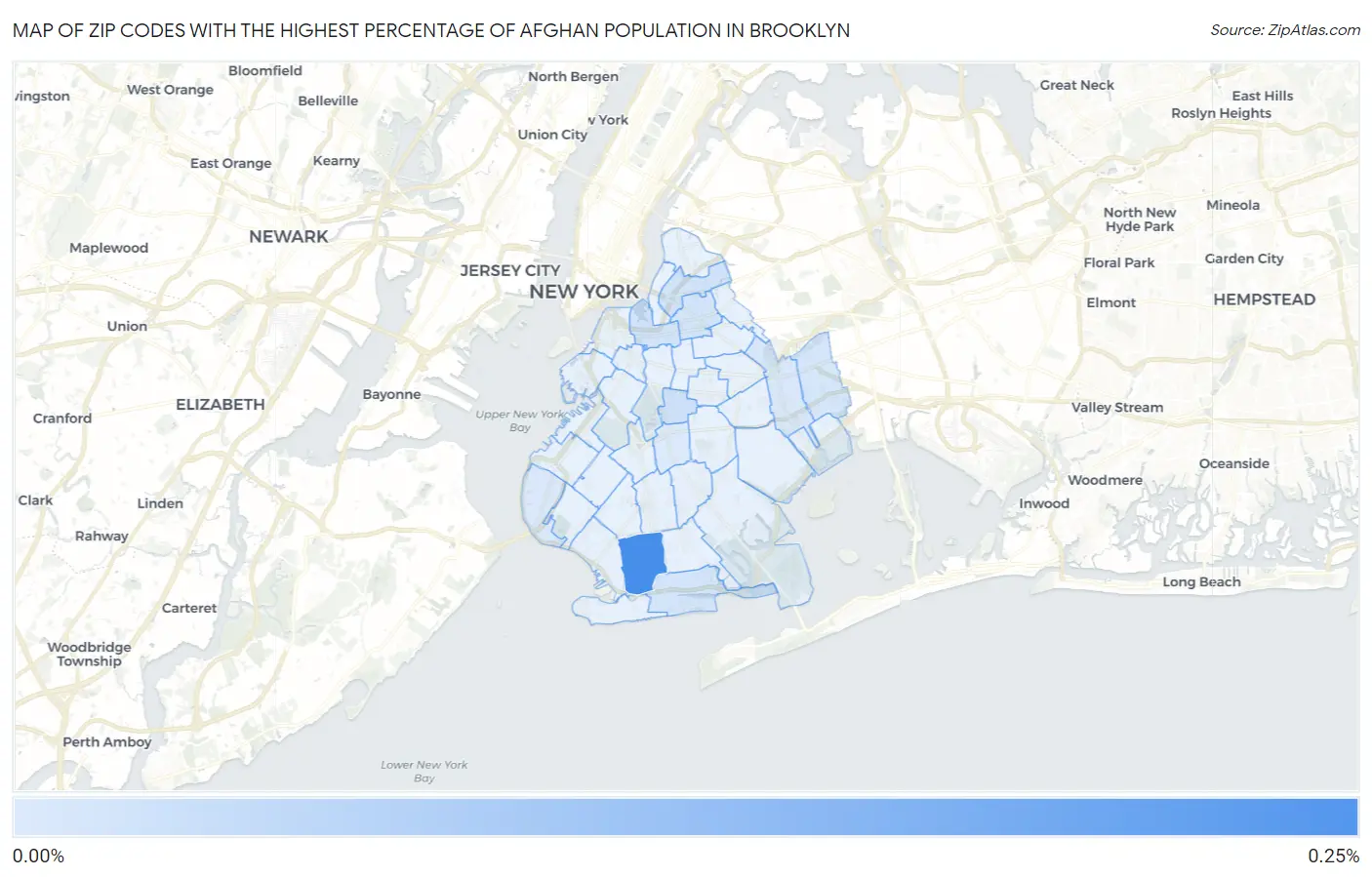 Zip Codes with the Highest Percentage of Afghan Population in Brooklyn Map
