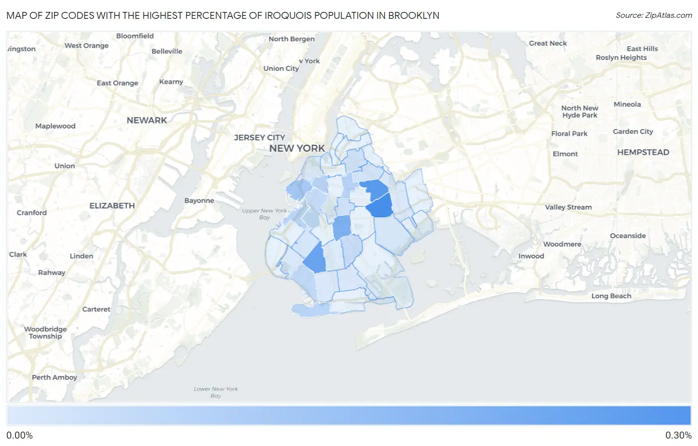 Zip Codes with the Highest Percentage of Iroquois Population in Brooklyn Map