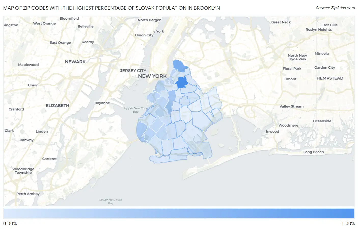 Zip Codes with the Highest Percentage of Slovak Population in Brooklyn Map