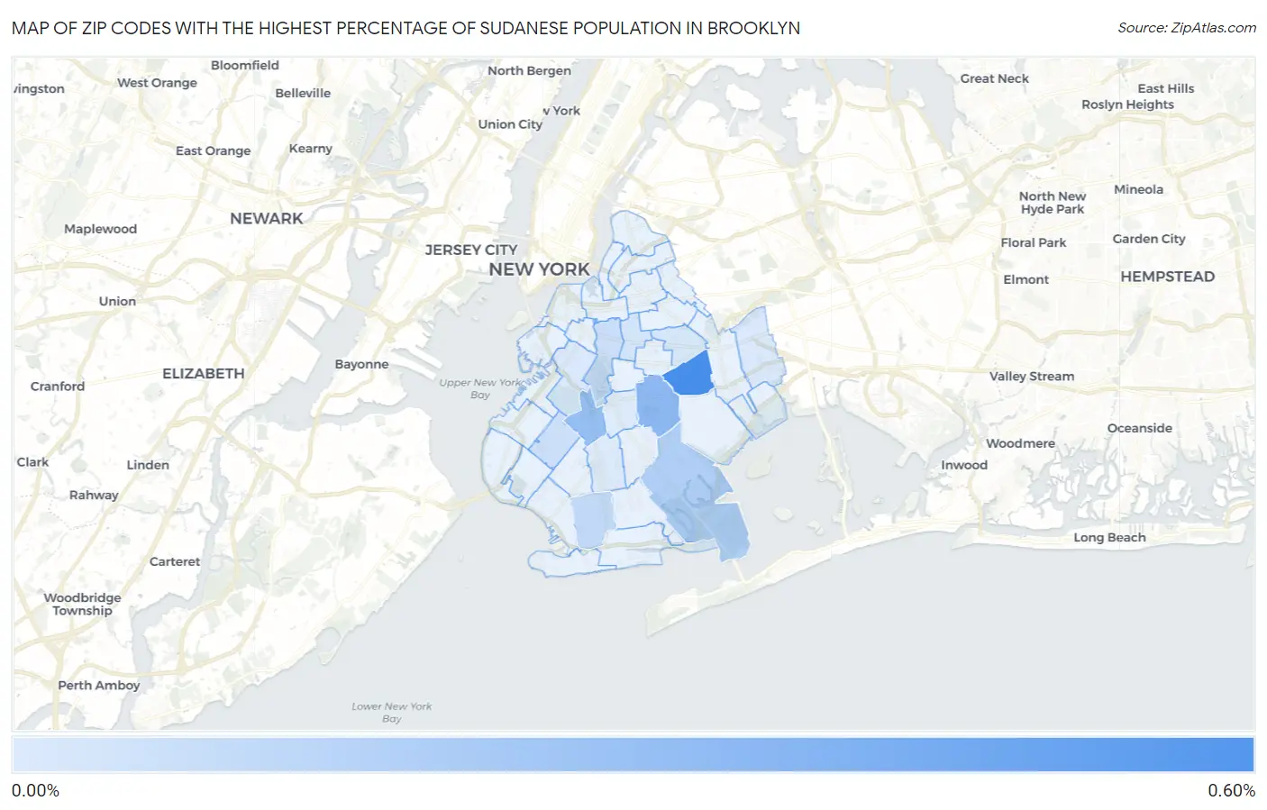 Zip Codes with the Highest Percentage of Sudanese Population in Brooklyn Map