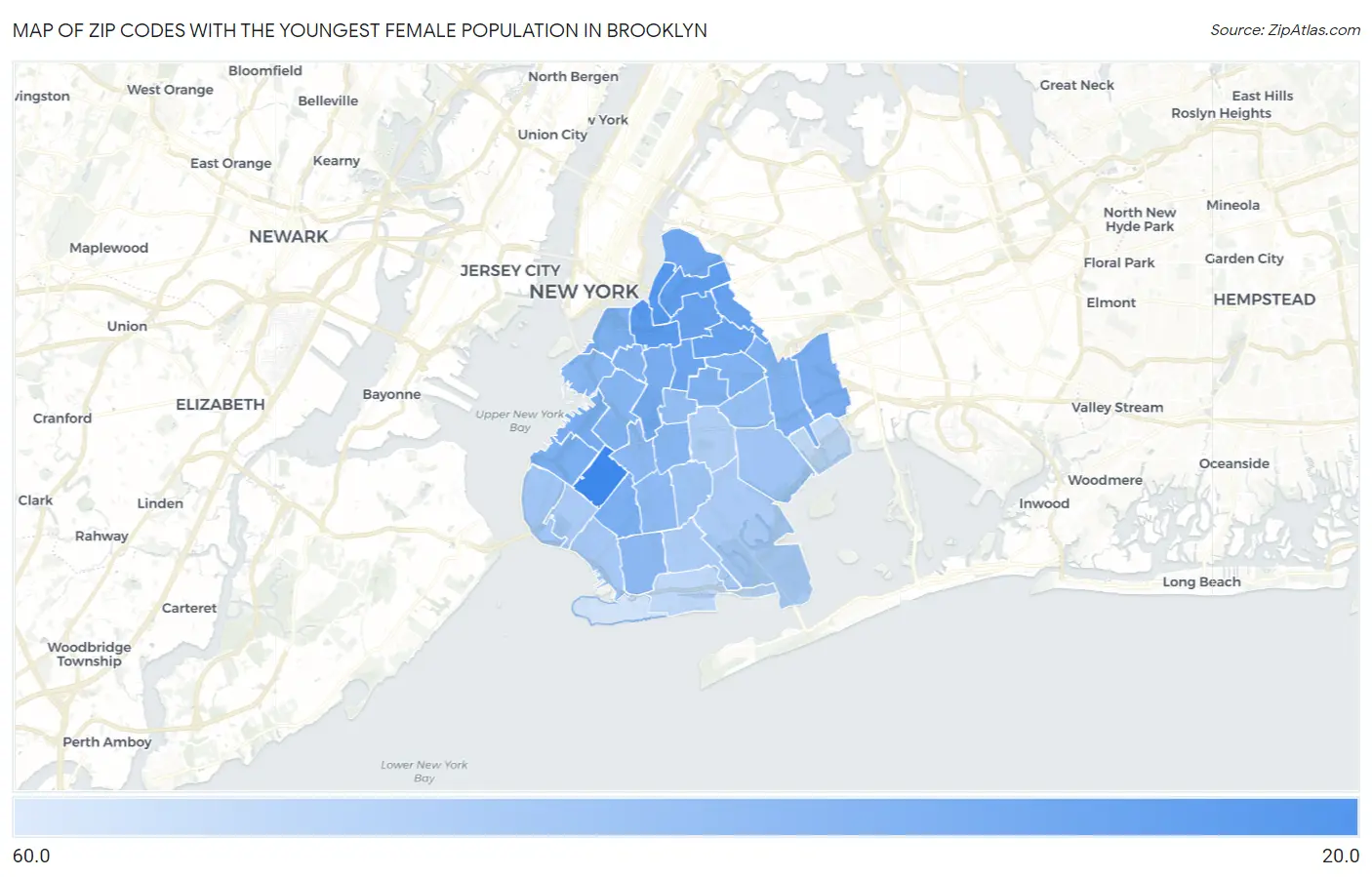 Zip Codes with the Youngest Female Population in Brooklyn Map