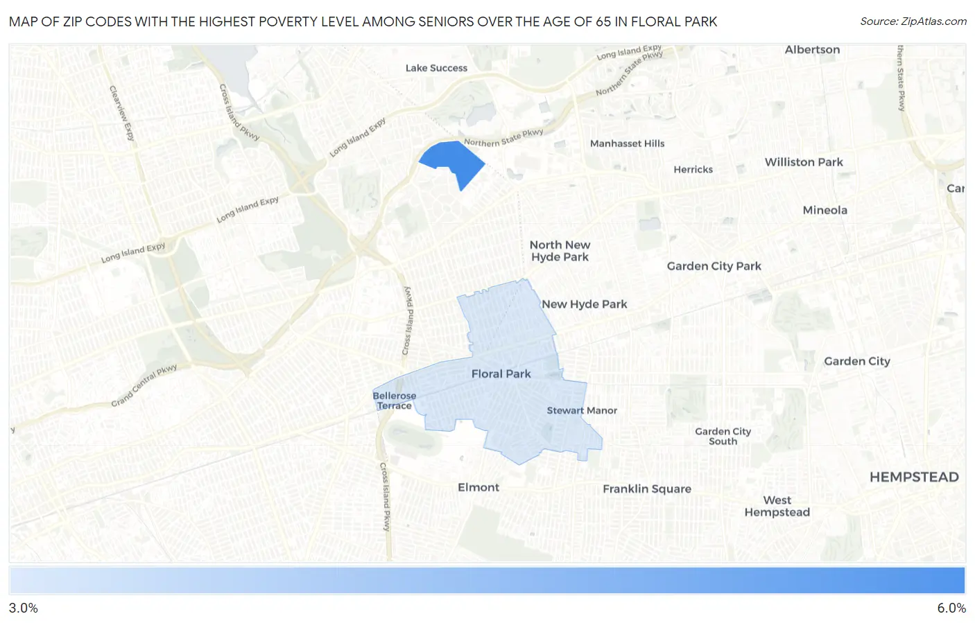 Zip Codes with the Highest Poverty Level Among Seniors Over the Age of 65 in Floral Park Map