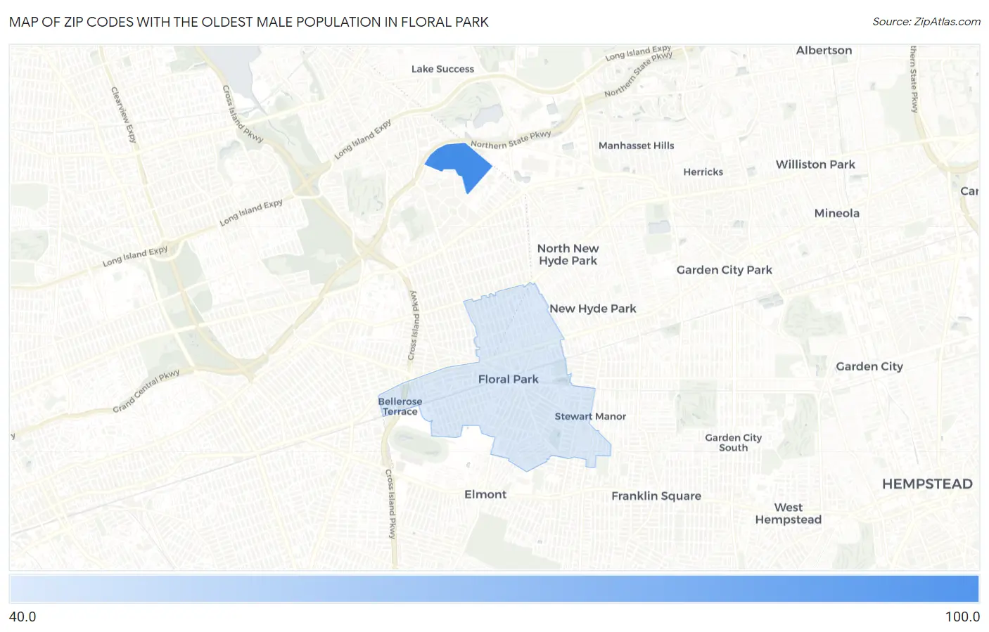Zip Codes with the Oldest Male Population in Floral Park Map