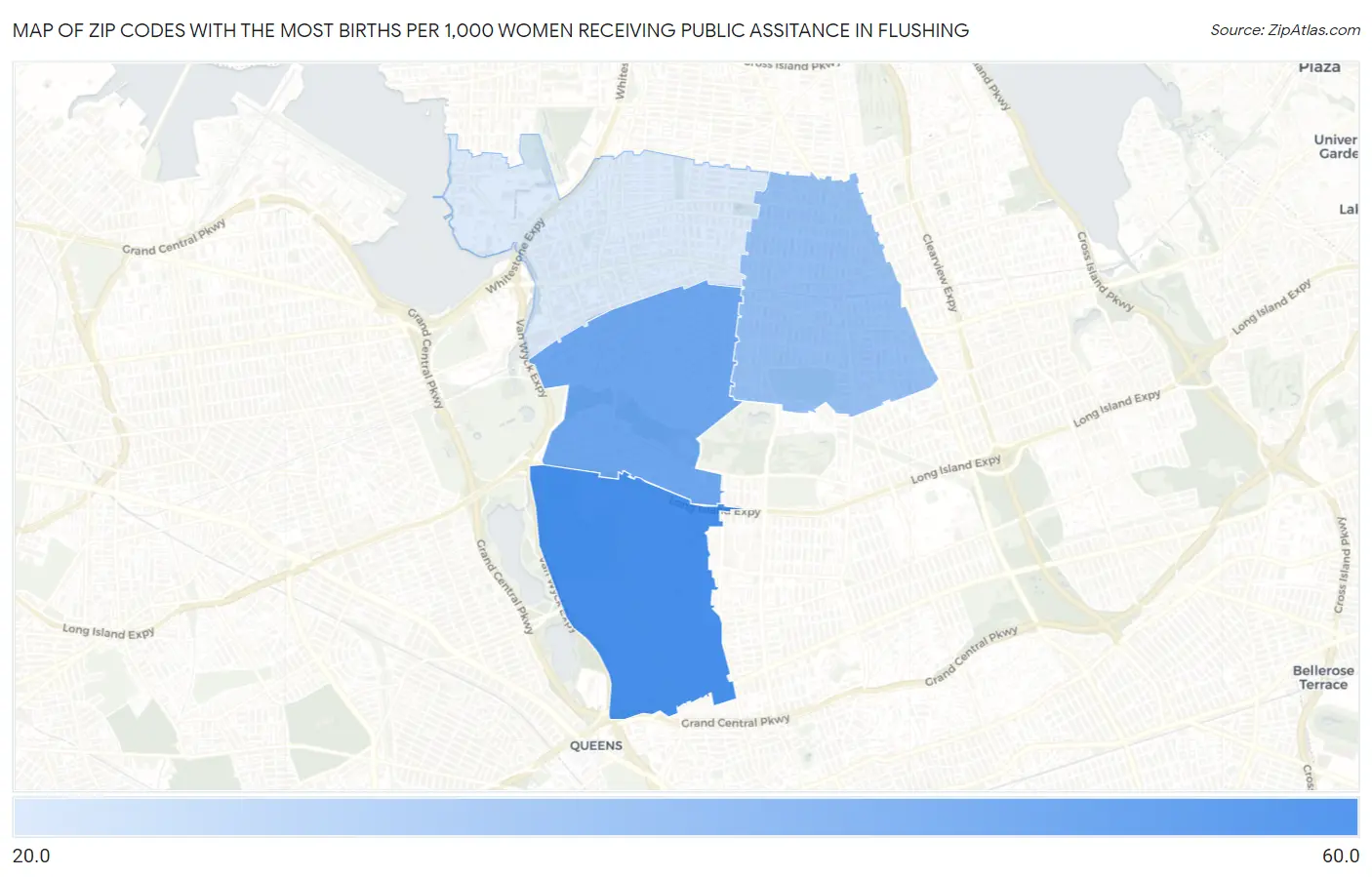 Zip Codes with the Most Births per 1,000 Women Receiving Public Assitance in Flushing Map