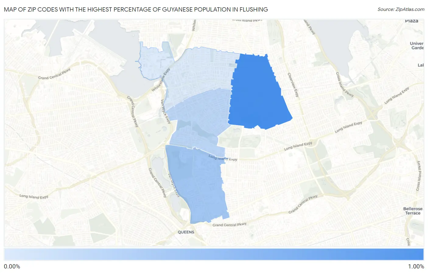 Zip Codes with the Highest Percentage of Guyanese Population in Flushing Map
