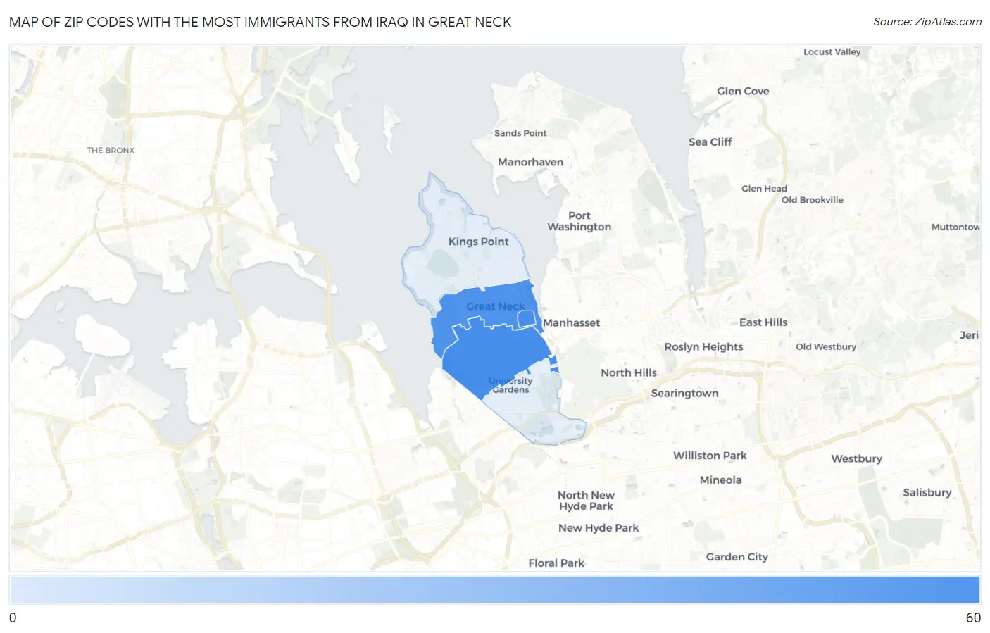 Zip Codes with the Most Immigrants from Iraq in Great Neck Map