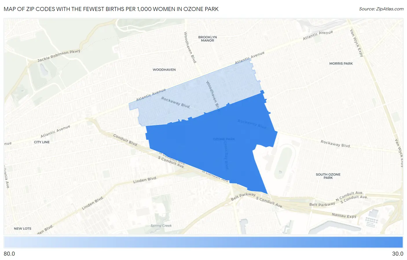 Zip Codes with the Fewest Births per 1,000 Women in Ozone Park Map