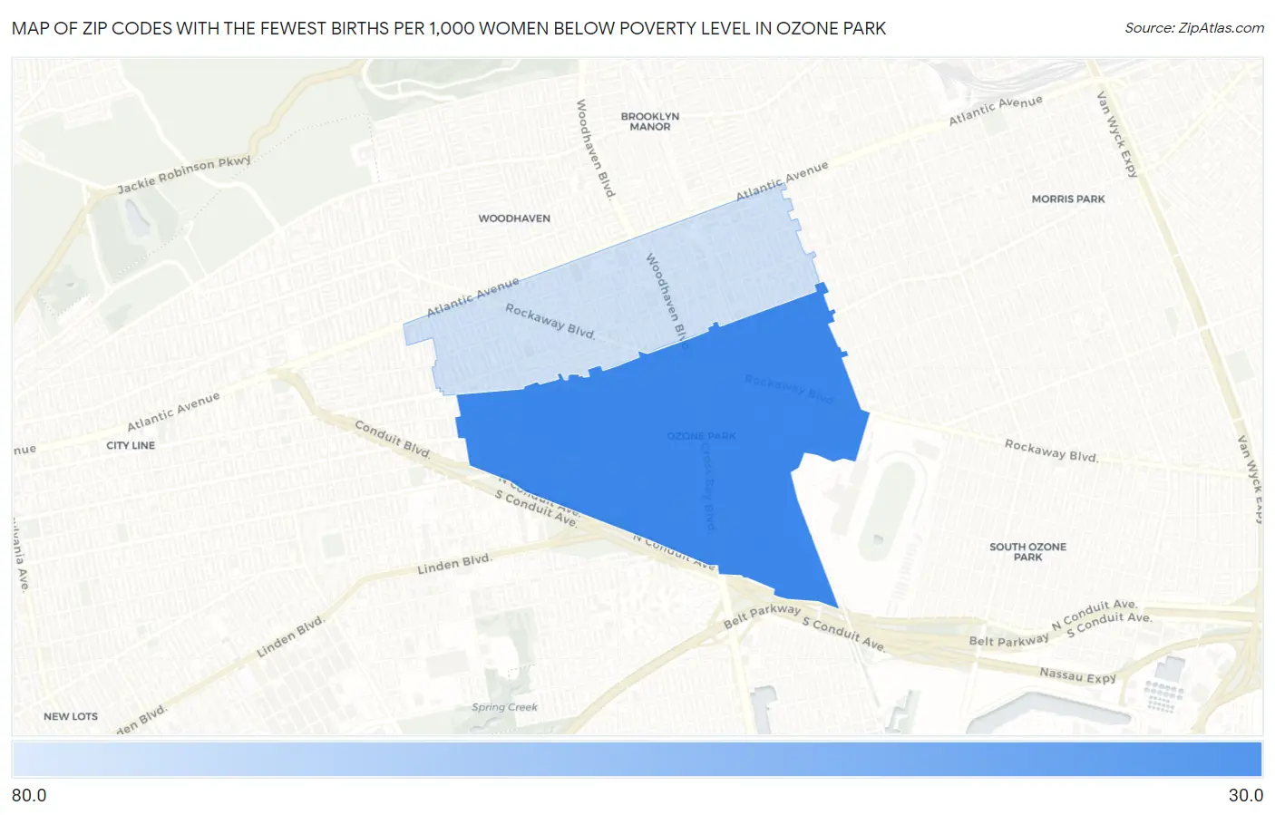 Zip Codes with the Fewest Births per 1,000 Women Below Poverty Level in Ozone Park Map