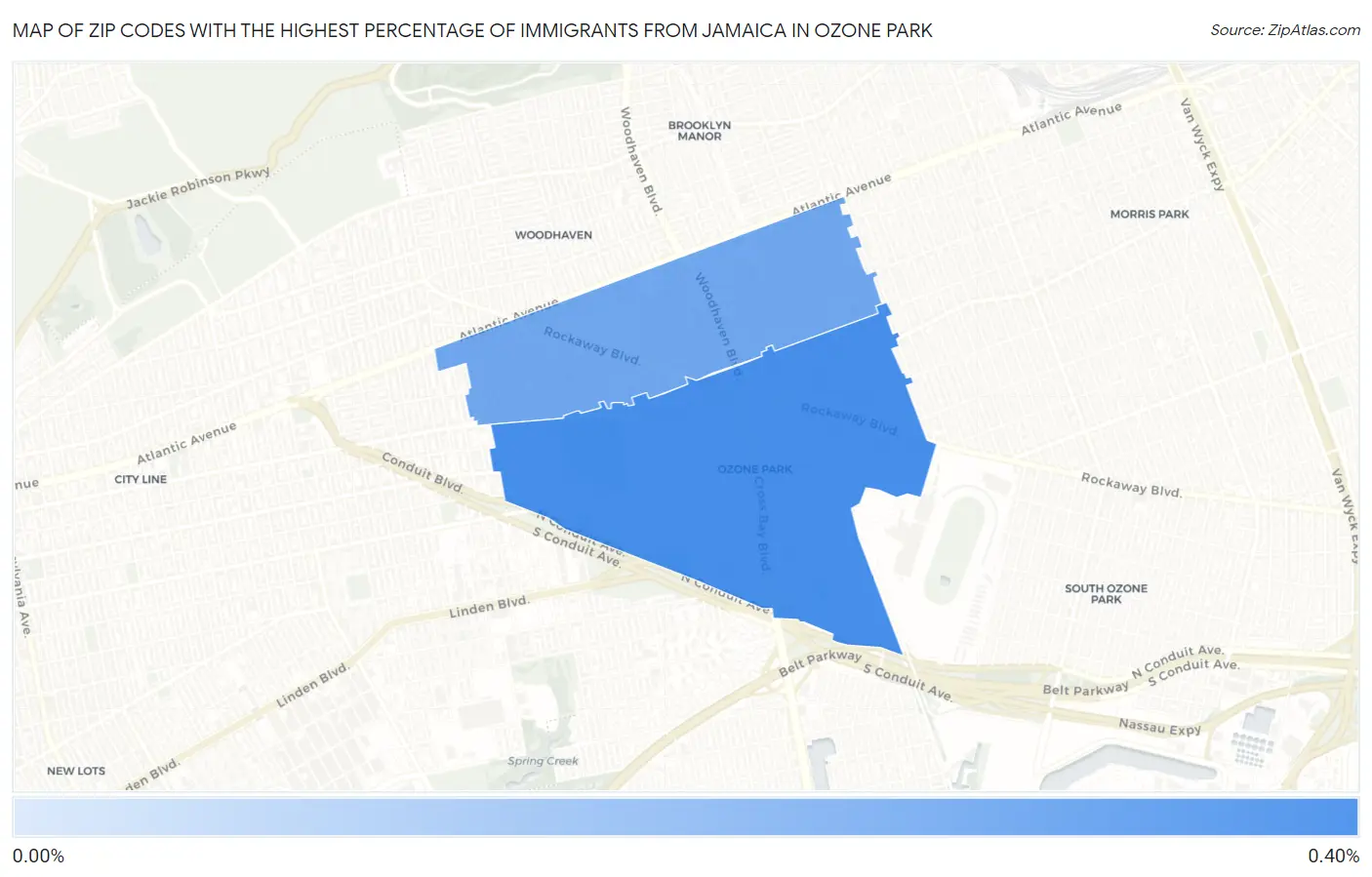 Zip Codes with the Highest Percentage of Immigrants from Jamaica in Ozone Park Map