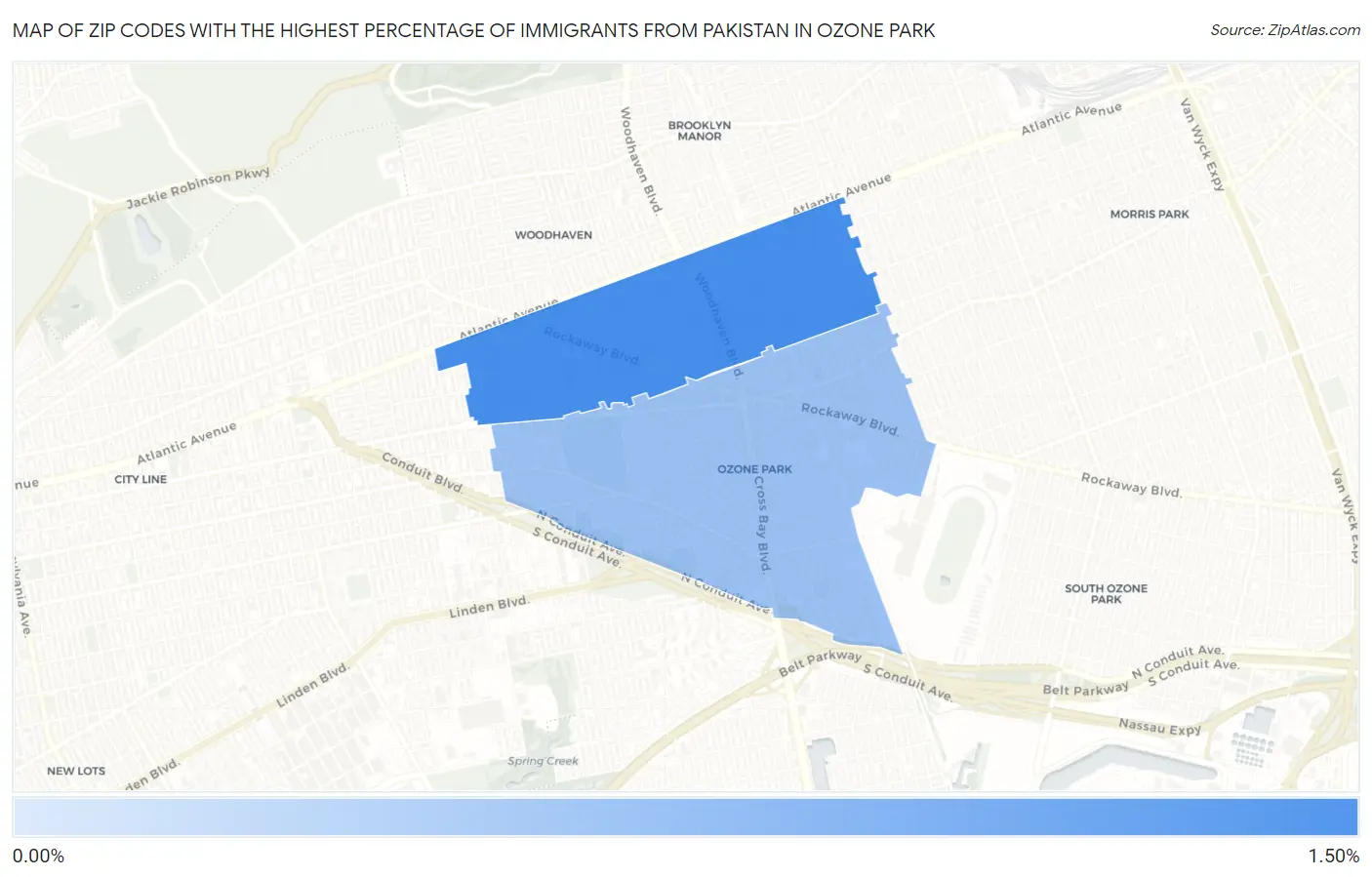 Zip Codes with the Highest Percentage of Immigrants from Pakistan in Ozone Park Map
