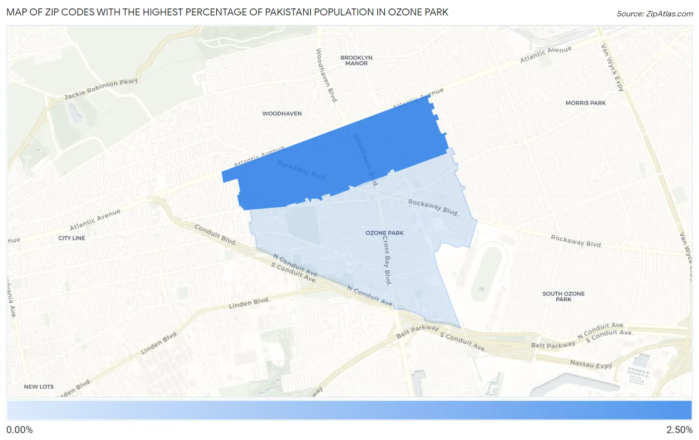 Zip Codes with the Highest Percentage of Pakistani Population in Ozone Park Map