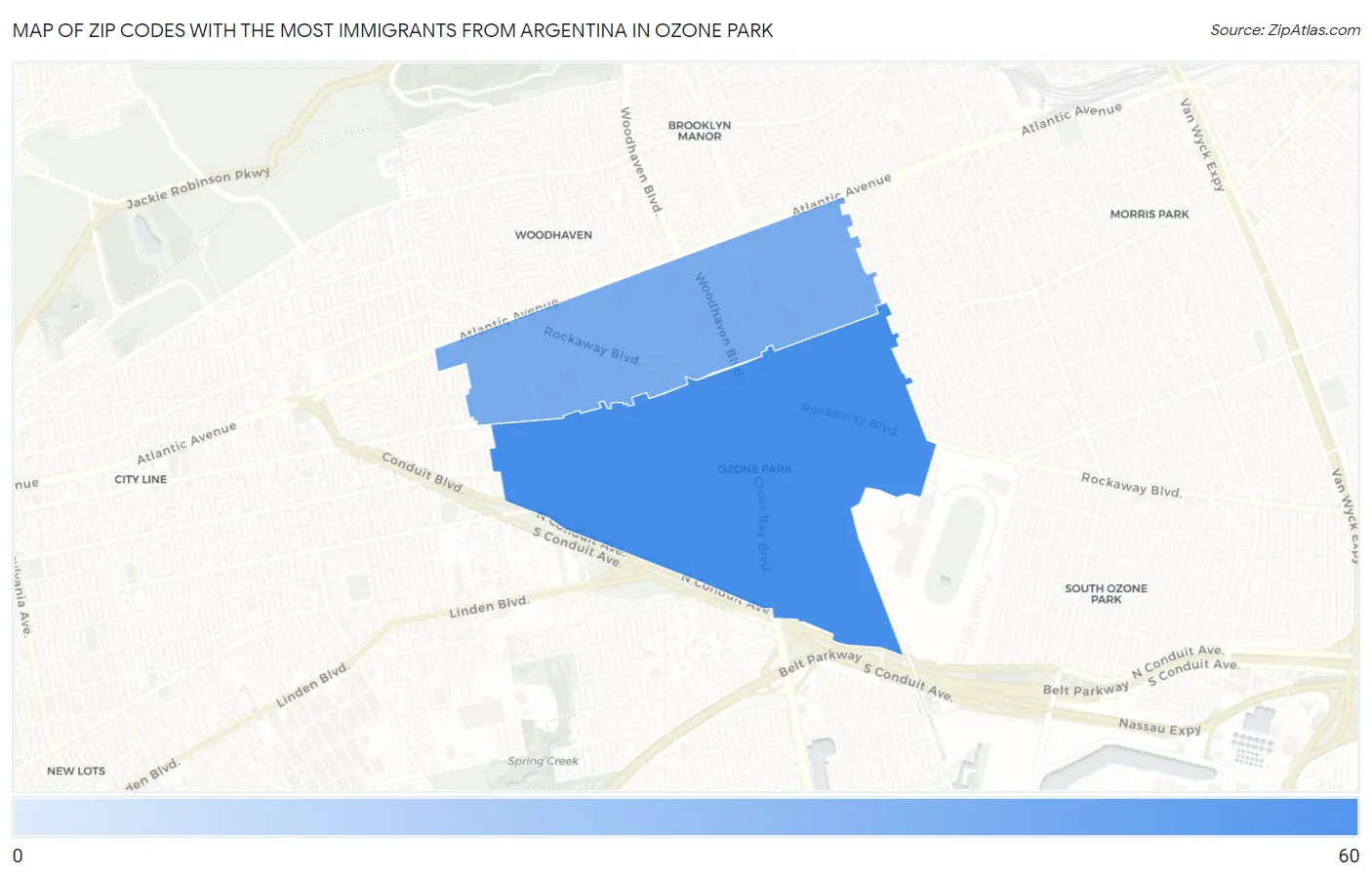 Zip Codes with the Most Immigrants from Argentina in Ozone Park Map