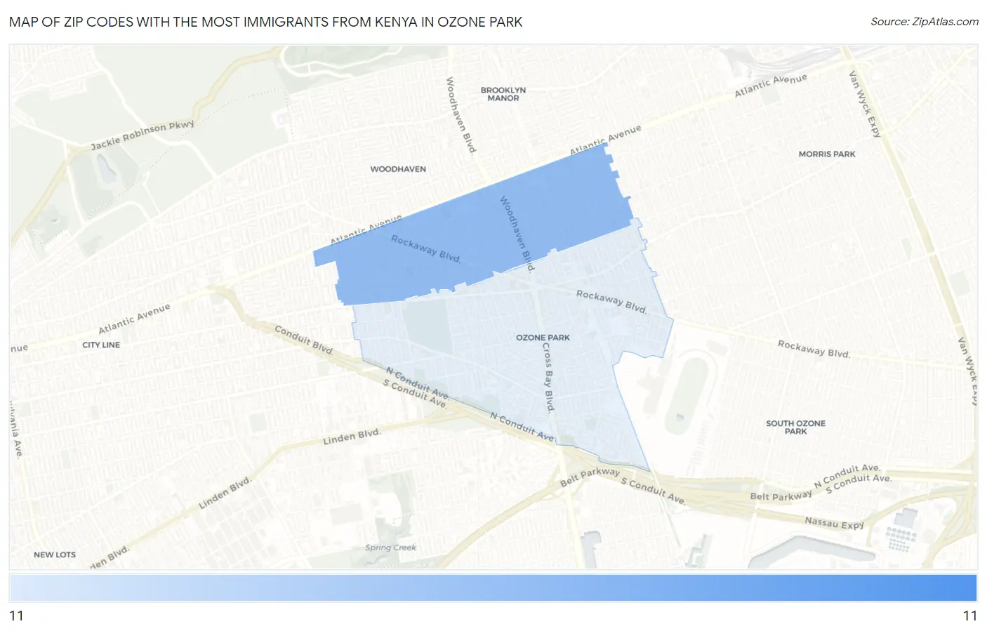 Zip Codes with the Most Immigrants from Kenya in Ozone Park Map