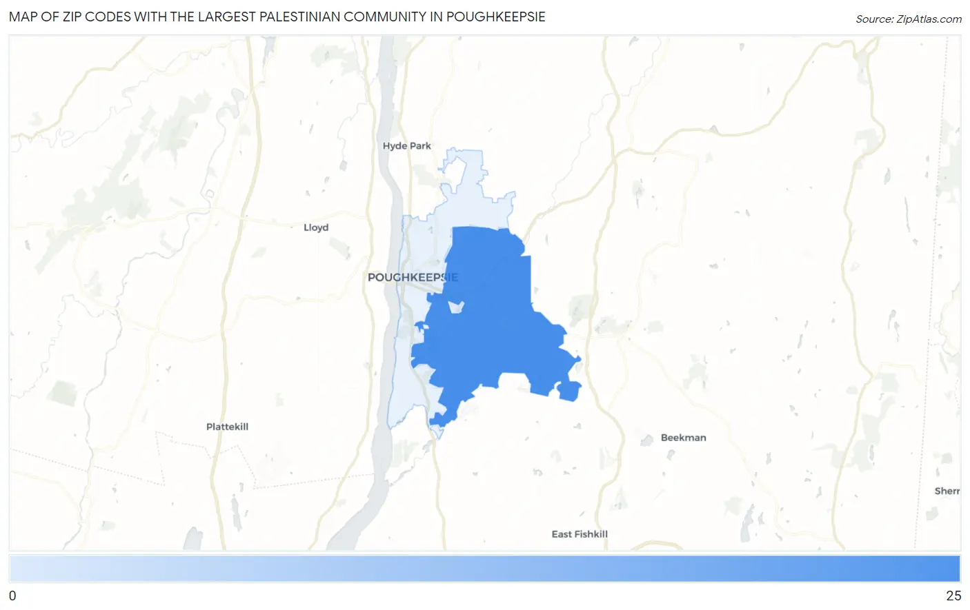 Zip Codes with the Largest Palestinian Community in Poughkeepsie Map