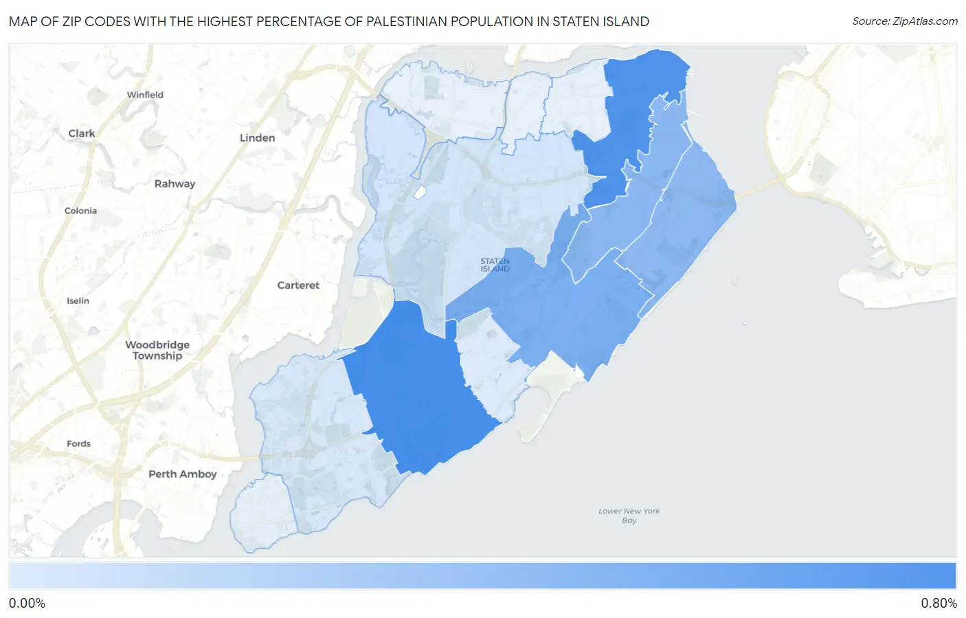 Zip Codes with the Highest Percentage of Palestinian Population in Staten Island Map