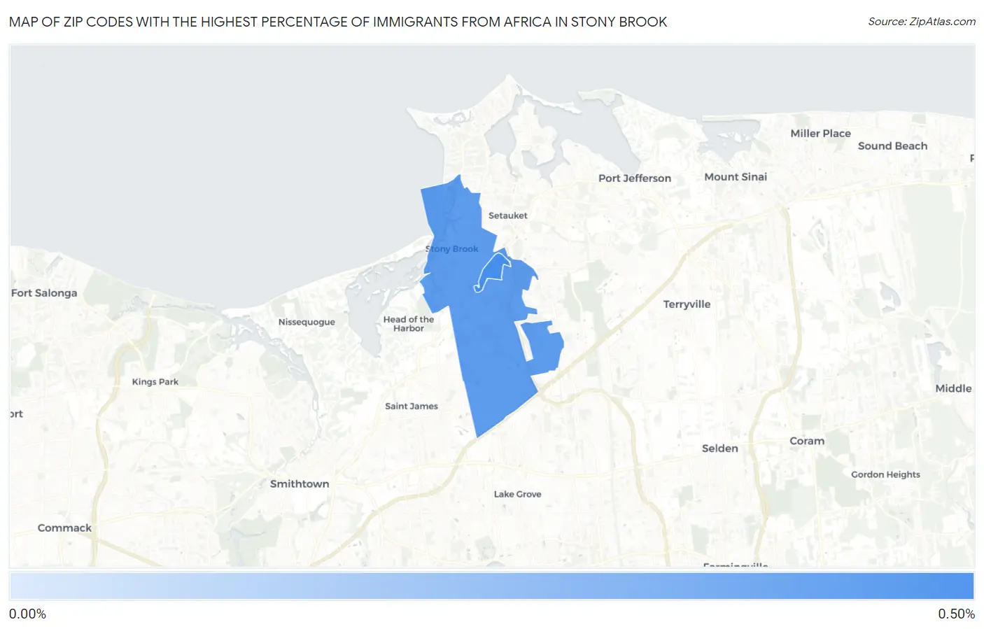 Zip Codes with the Highest Percentage of Immigrants from Africa in Stony Brook Map